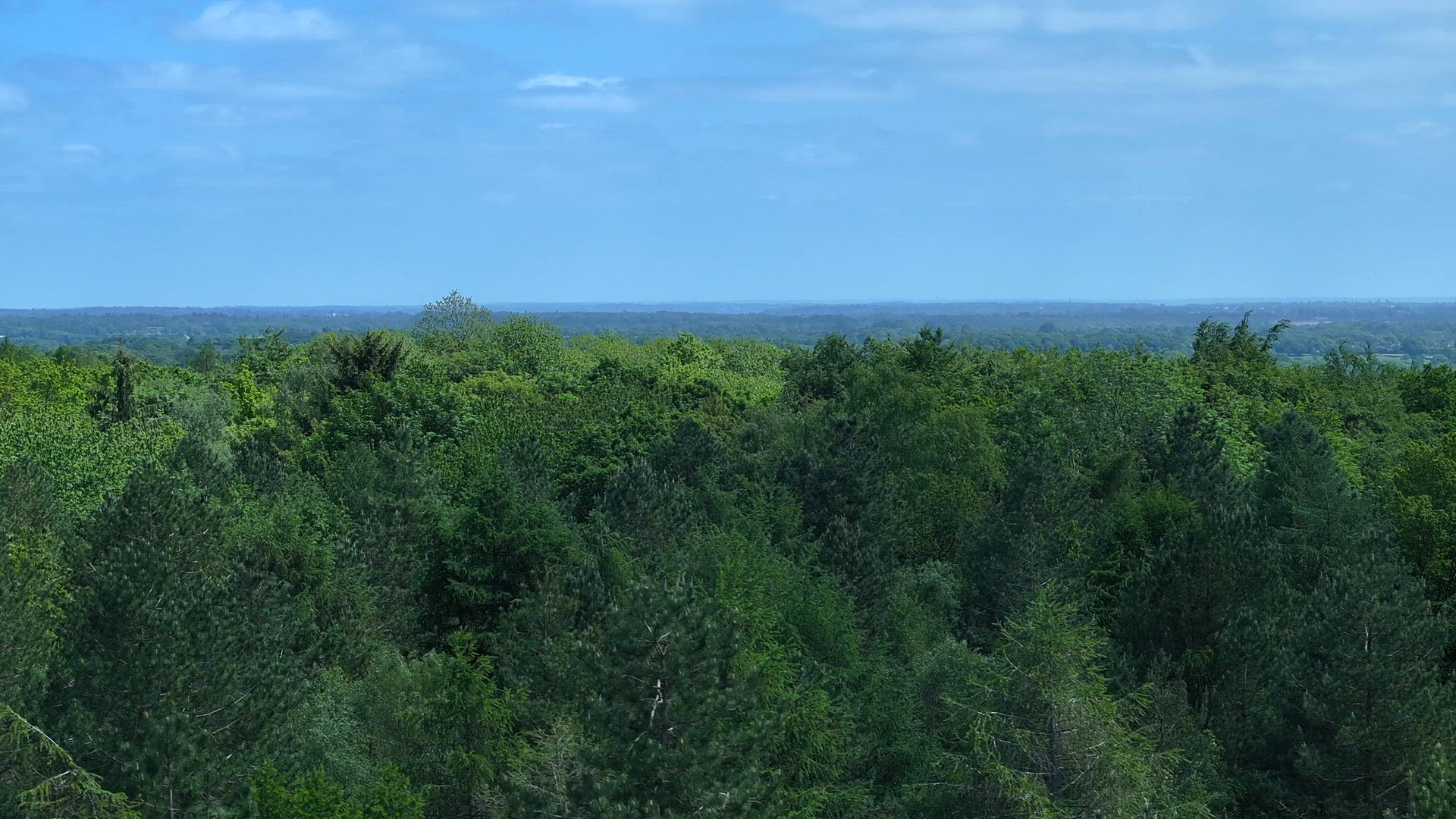 Forest and Woodland in the UK From an Aerial View