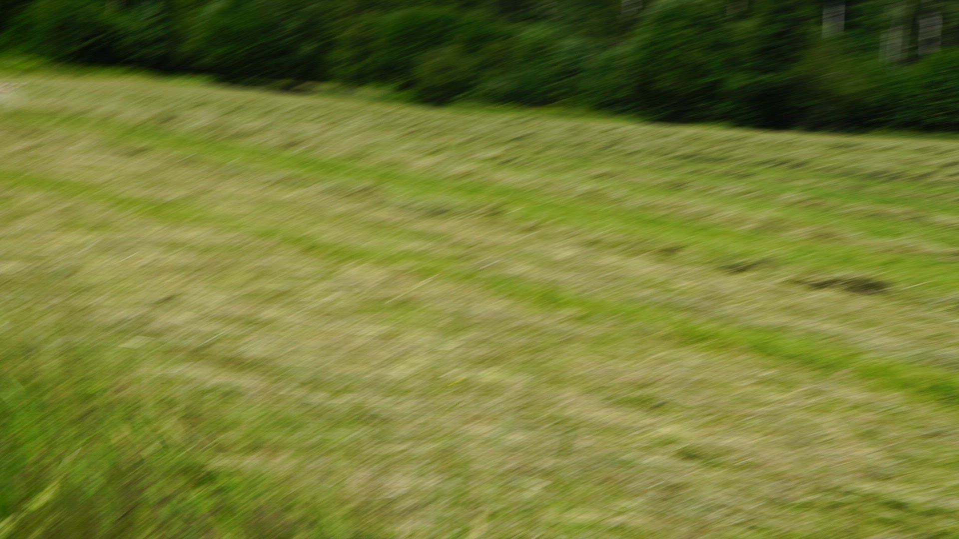 tractor in field - 2.mp4