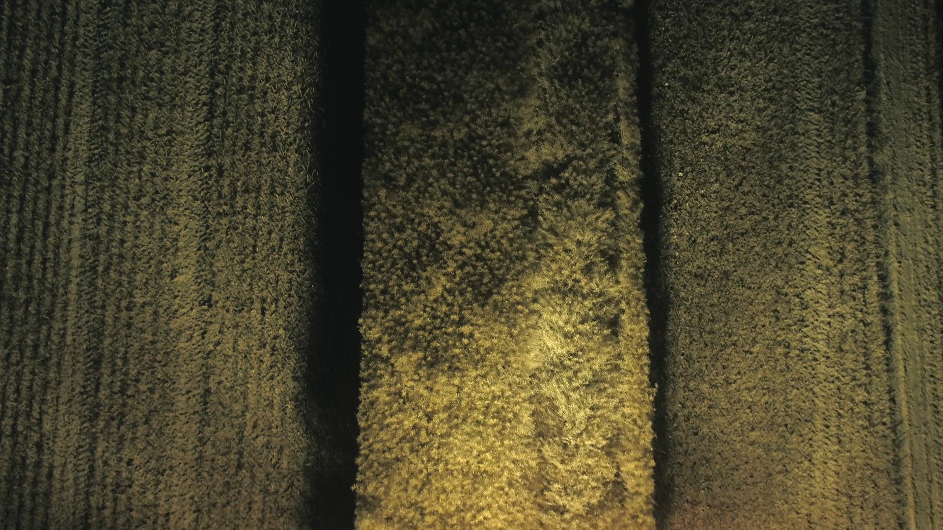 Combine Harvester at Night During the Harvest