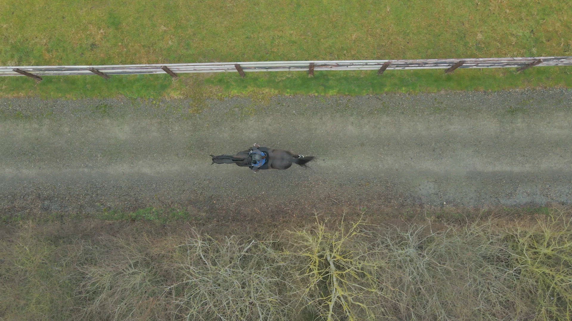 A Horse Rider on a Hack Alongside Woods and Paddocks Bird's Eye View