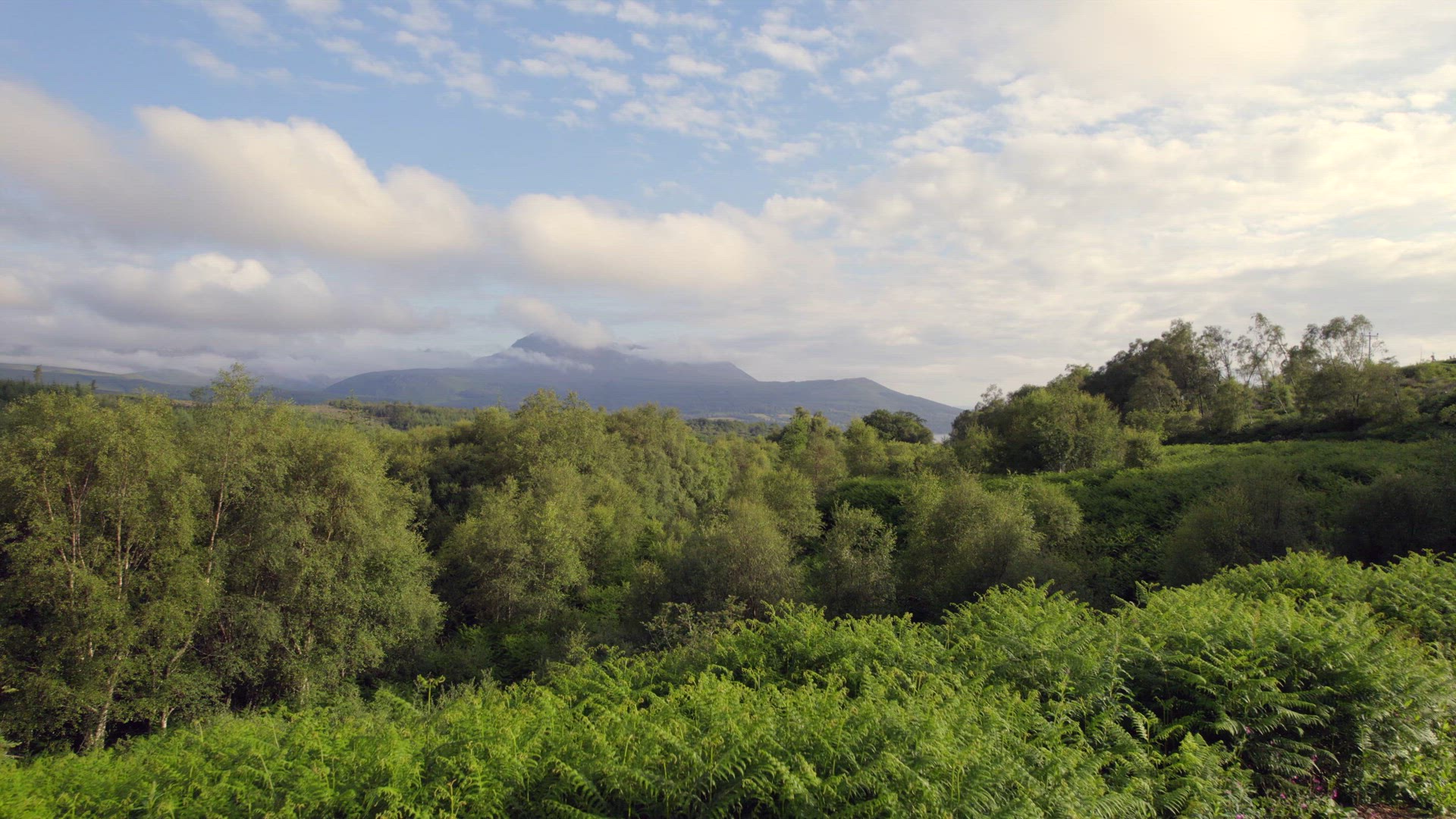 Flyover of Woodlands on the Isle of Arran Flying Towards Brodick