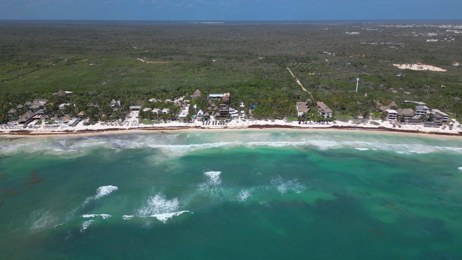 Caribbean Beaches Covered in Sargassum Seaweed Aerial View