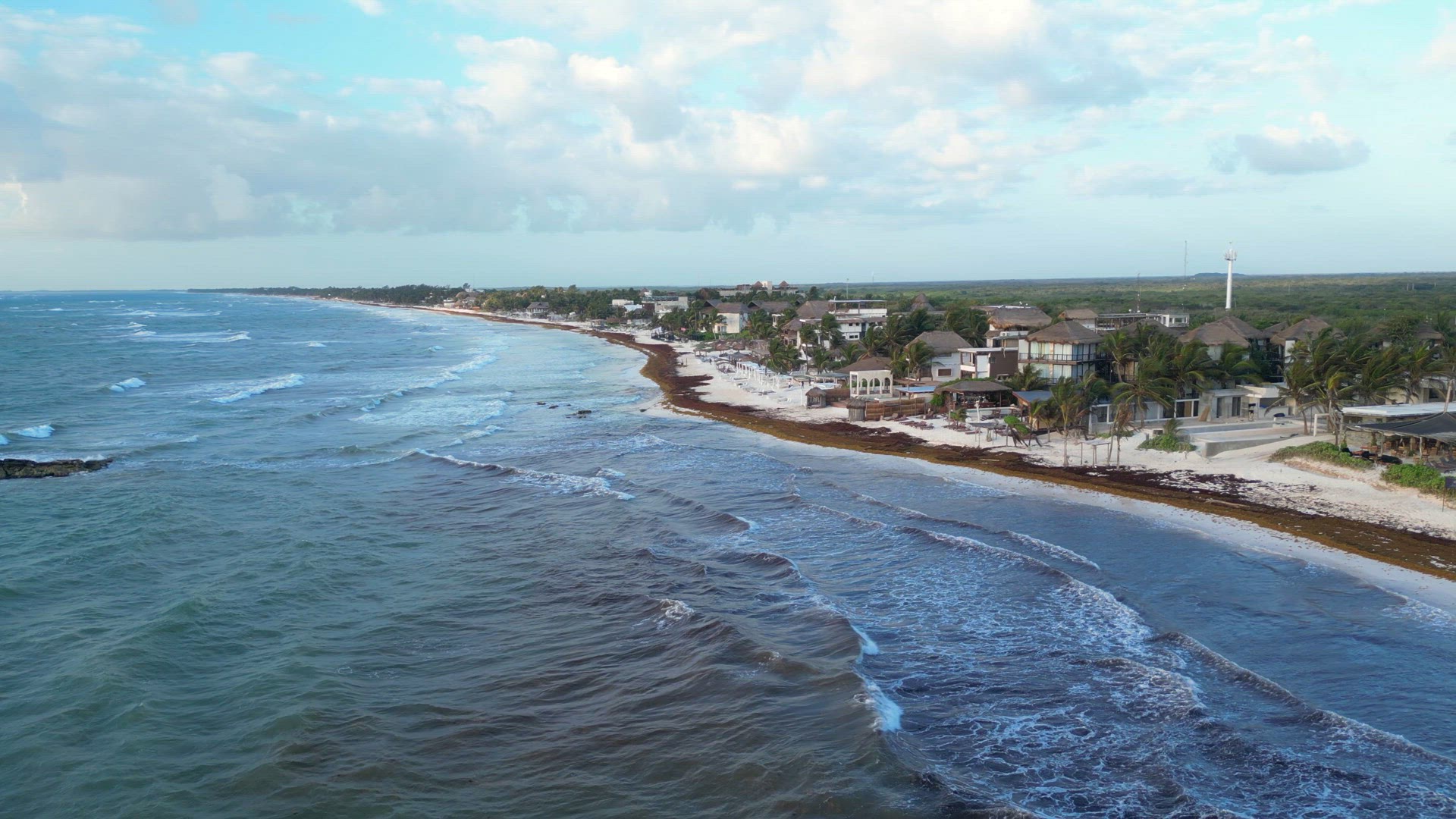 Beach in Mexico Covered in Gulfweed Seaweed Ruining the Beautiful Sandy Beaches