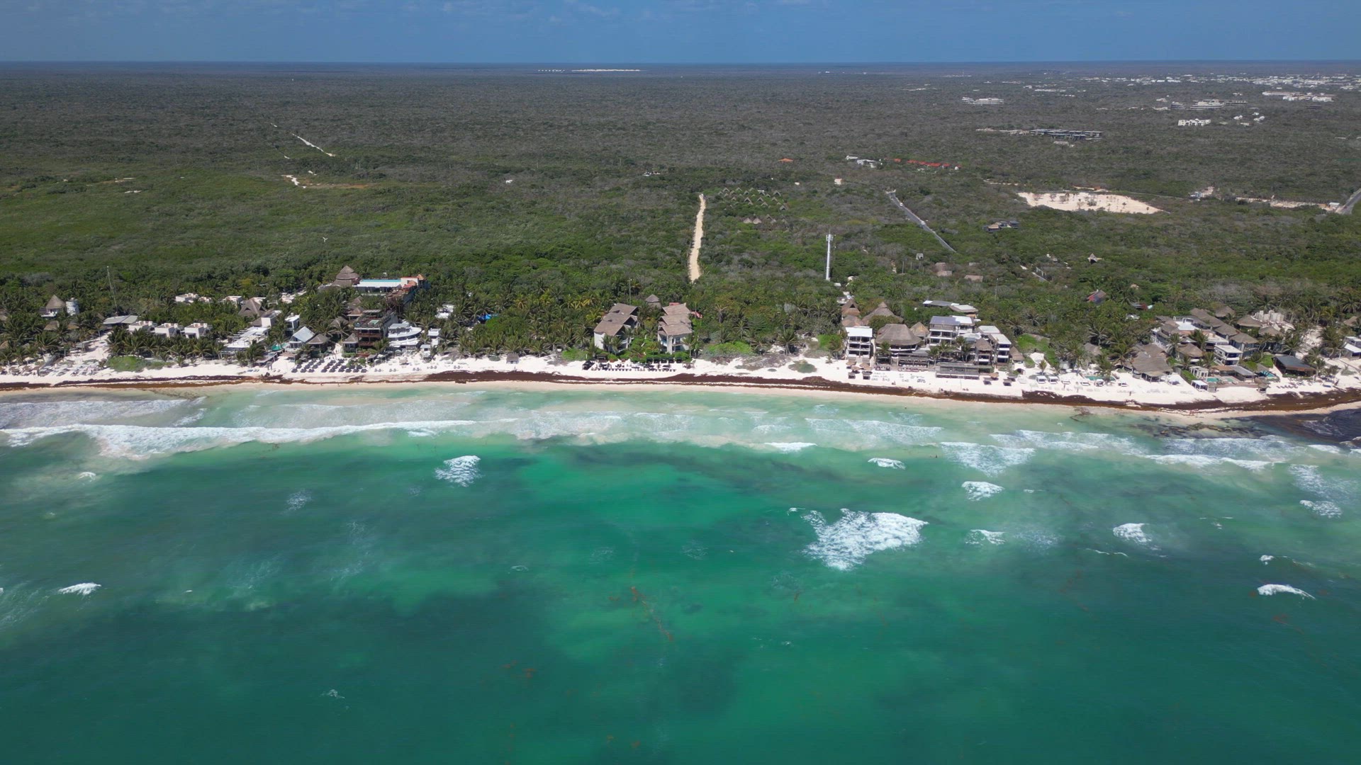 Beach in Mexico Covered in Gulfweed Seaweed Ruining the Beautiful Sandy Beaches