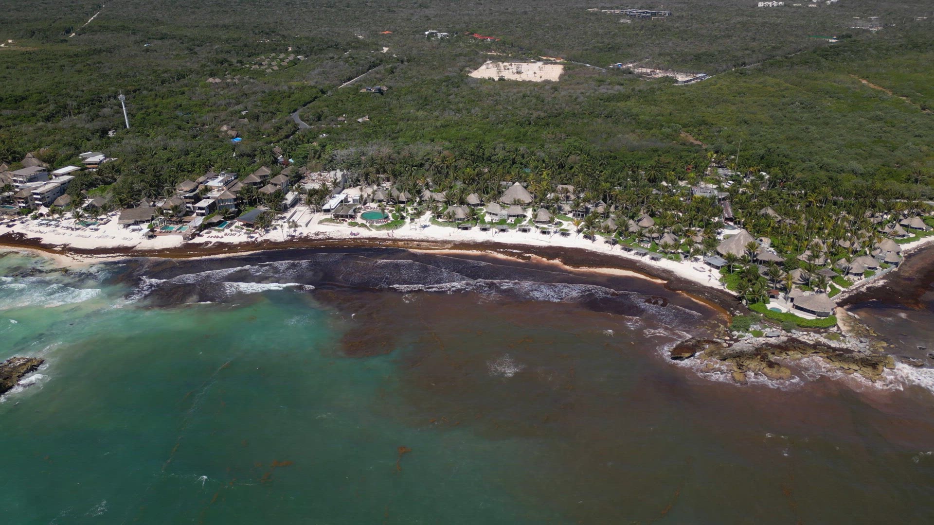 Washed Up Sargassum Seaweed Destroying Beautiful Beaches in the Caribbean