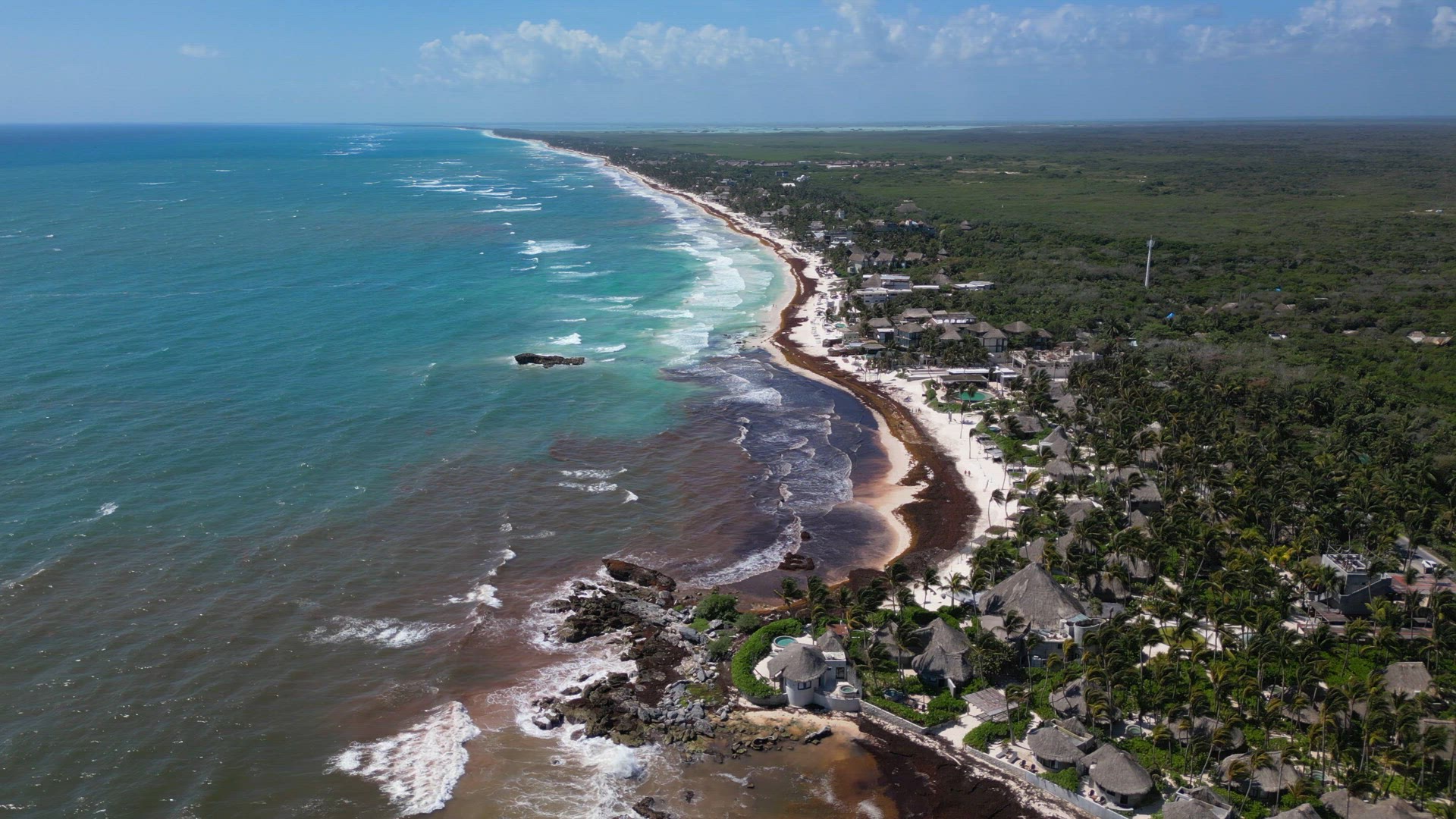 Mexican Beach Resorts Tackling Sargassum Gulfweed on the Beaches