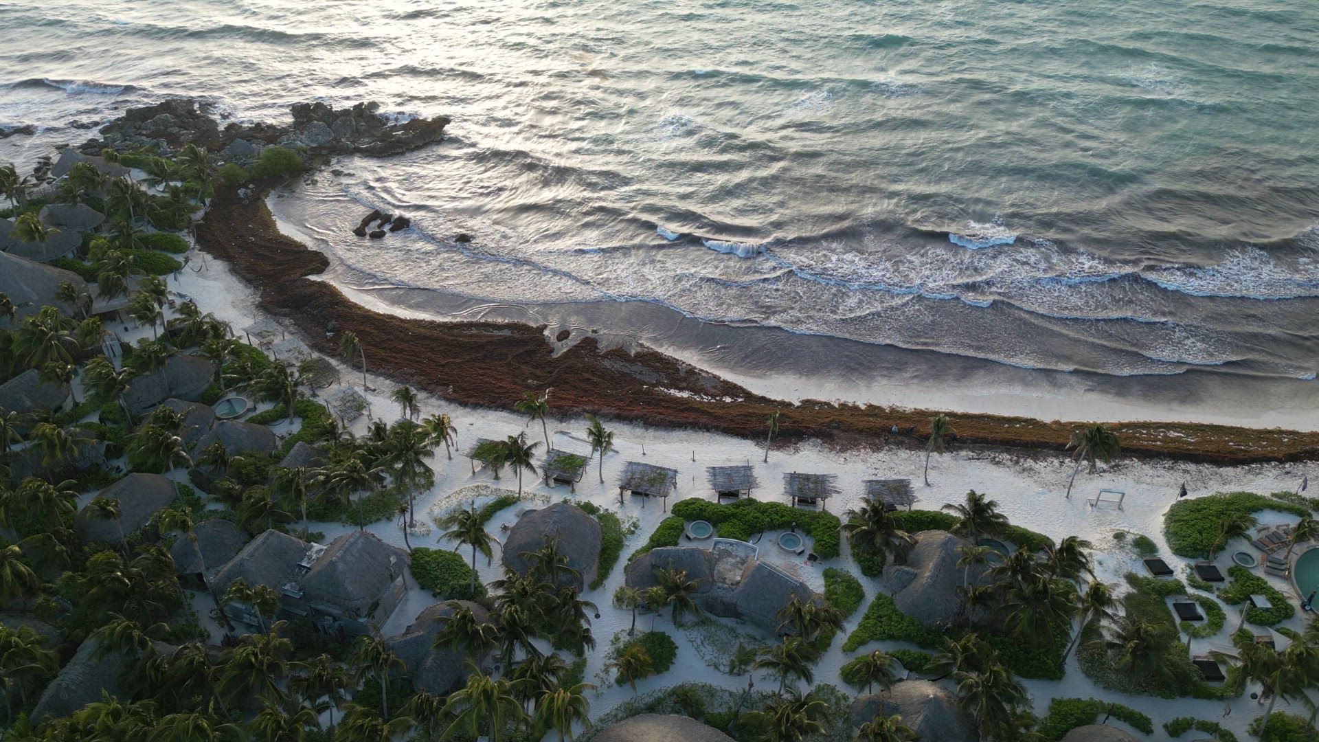 Aerial View of Mexican Beach Covered in Sargassum Gulfweed Seaweed
