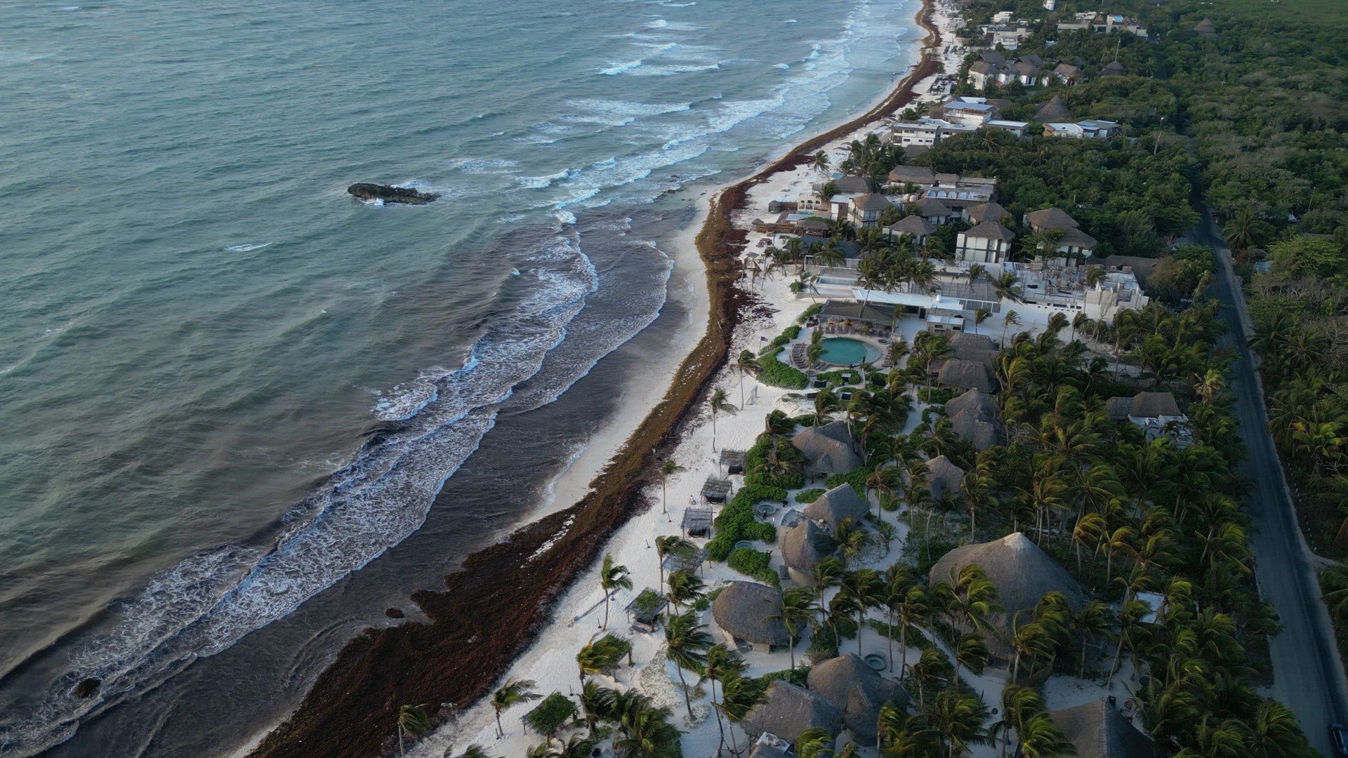 Beach in Mexico Covered in Gulfweed Seaweed Ruining the Beautiful Sandy Beaches