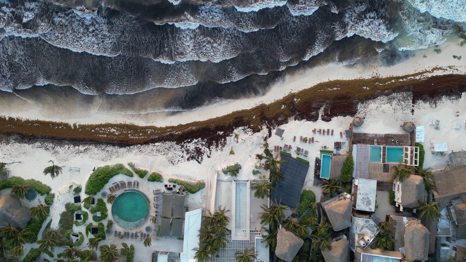 Washed Up Sargassum Seaweed Destroying Beautiful Beaches in the Caribbean