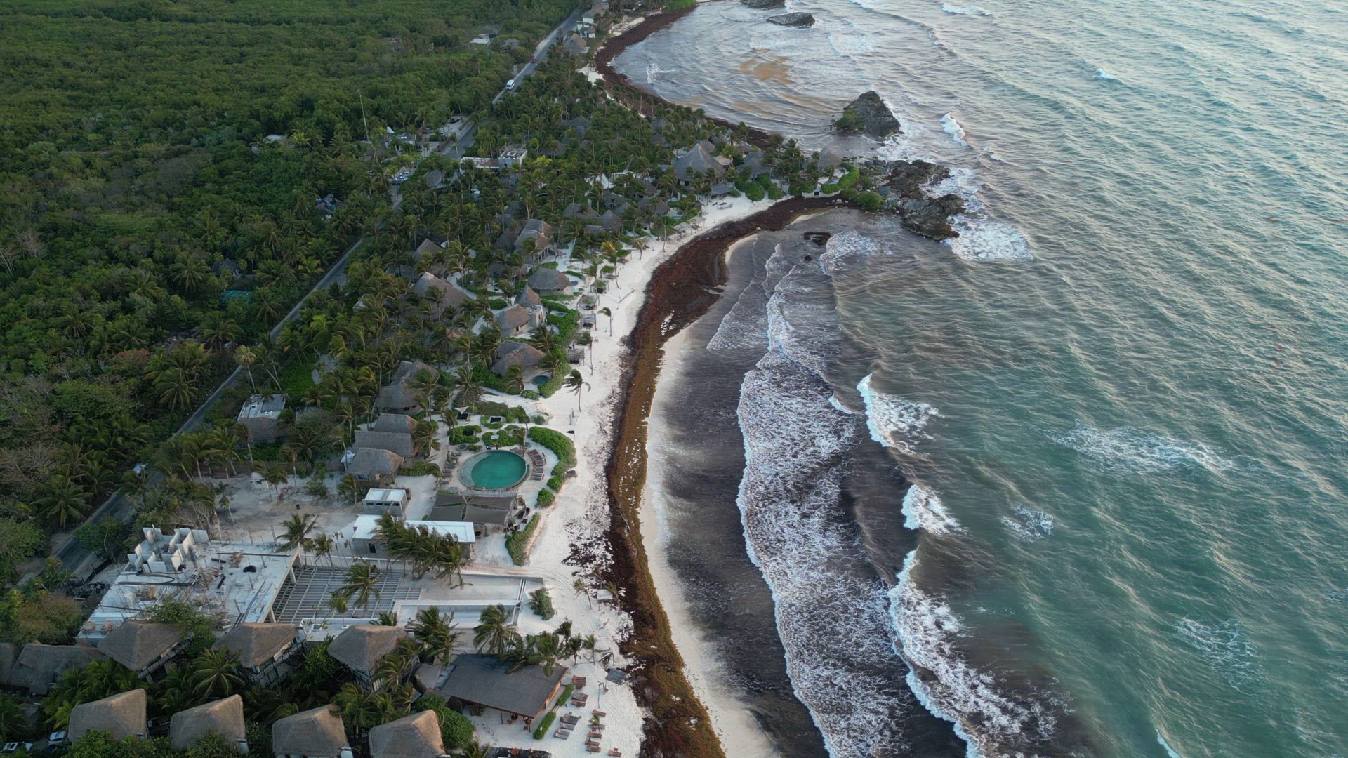 Beach in Mexico Covered in Gulfweed Seaweed Ruining the Beautiful Sandy Beaches
