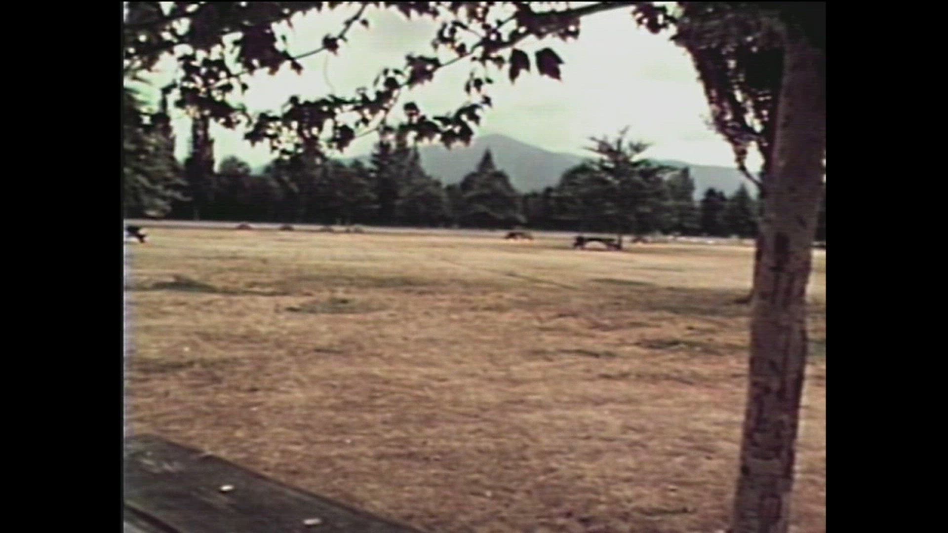 BUNDY FINAL CLIPS FOR VICKY TURNER.mov