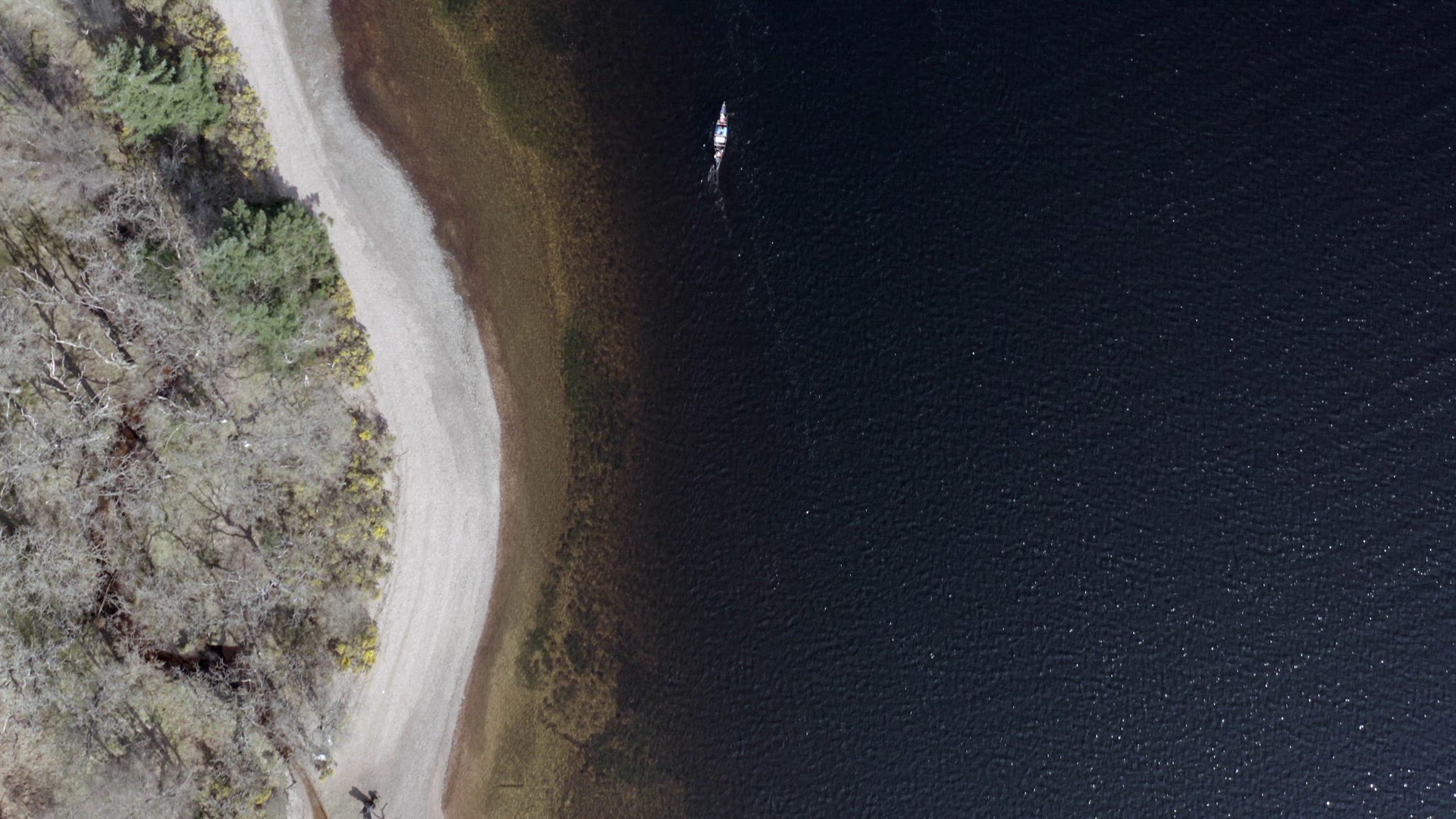 Bird's Eye View of Canoeists in a Lake