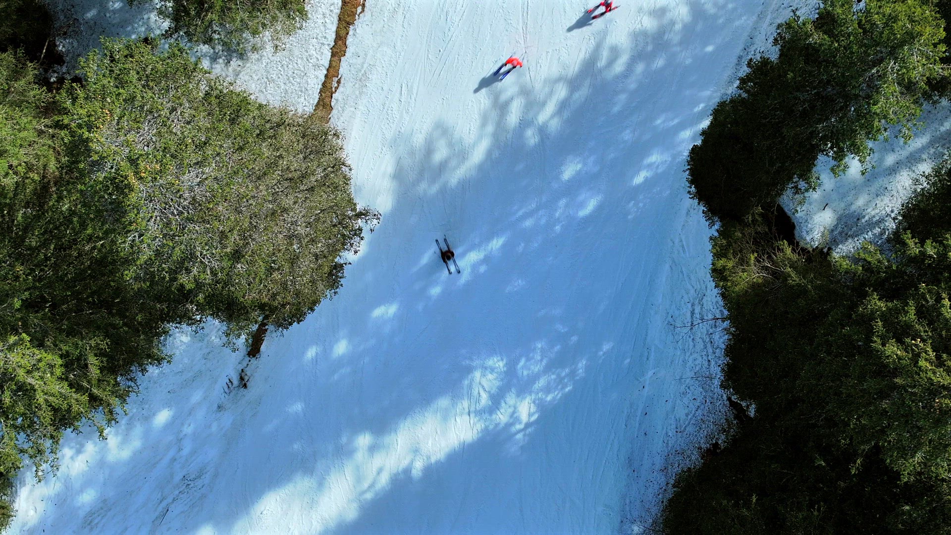 Skiing and Snowboarding Through a Forest Ski Run