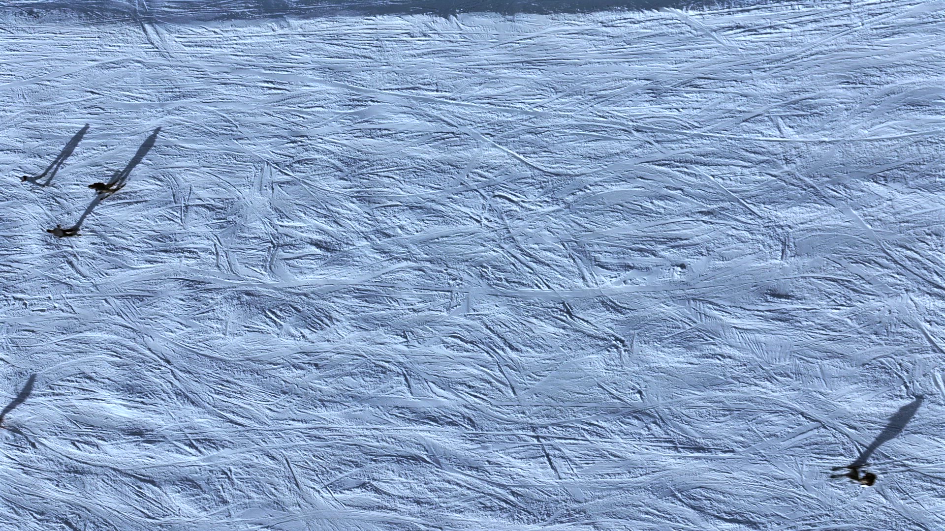 Abstract Aerial View of Skiers on a Slope With Shadows