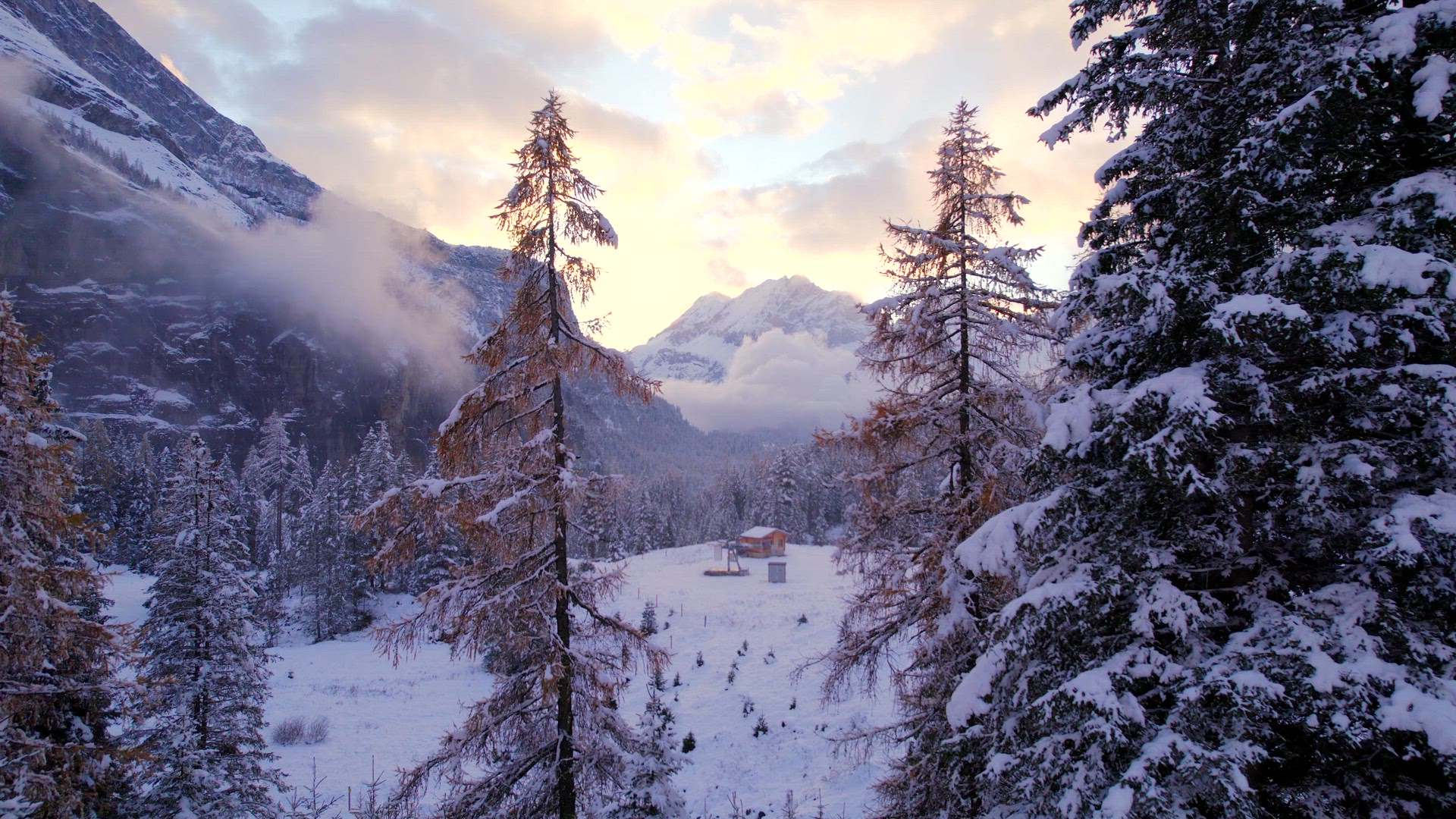 Gentle Flying Views Through the Swiss Winter Landscape Trees