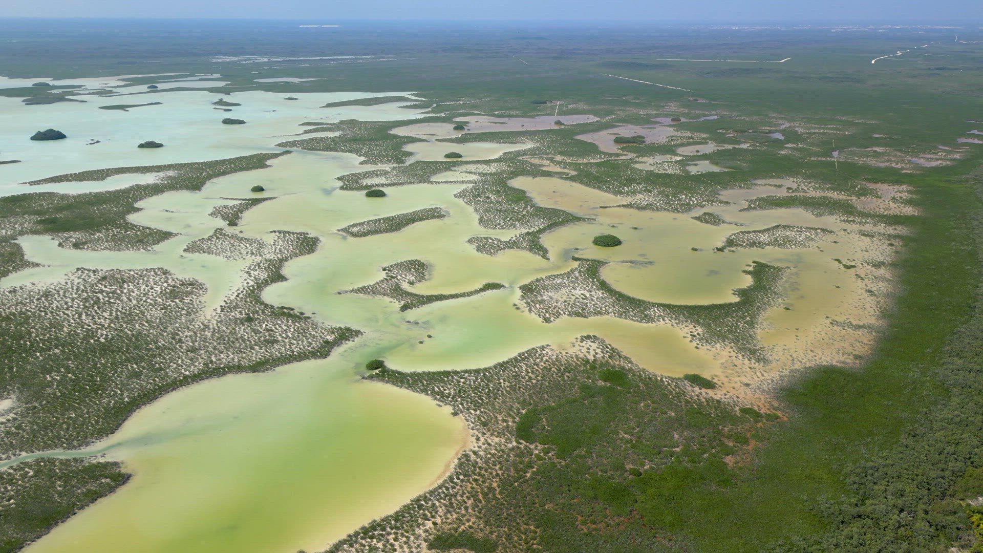 The Mangroves of Tulum National Park Aerial View