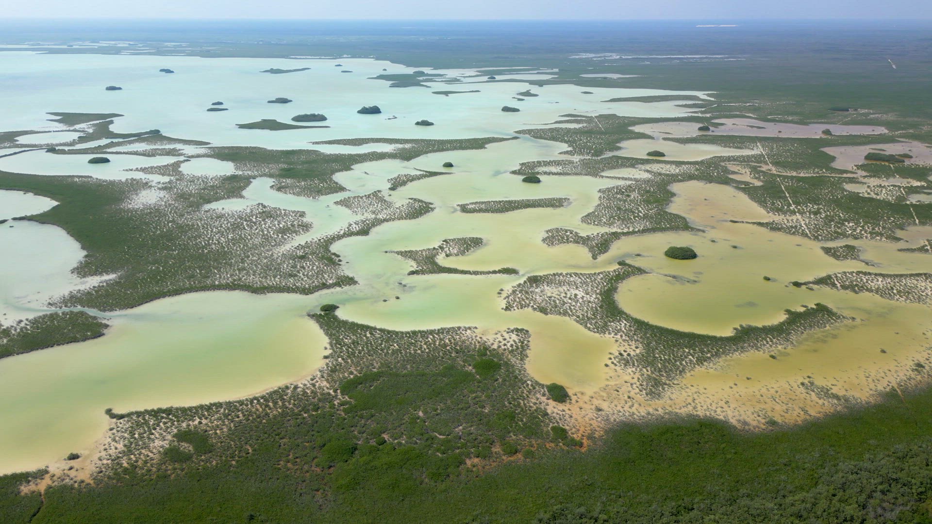 The Mangroves of Tulum National Park Aerial View