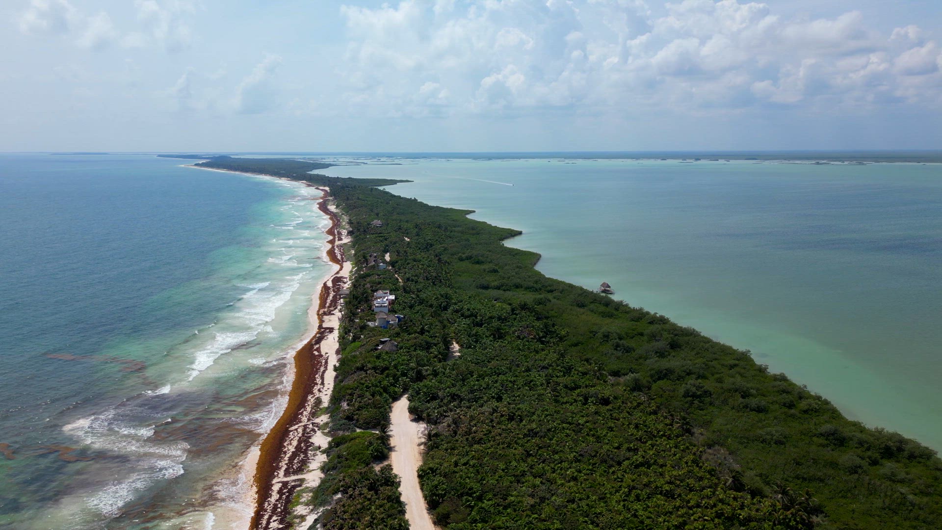 The Caribbean Sea and Tulum National Park Aerial View