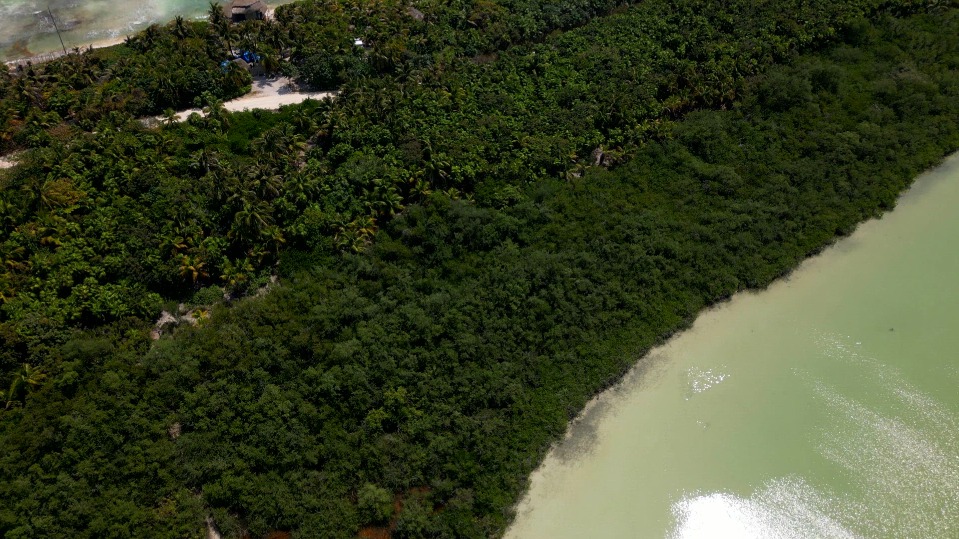 The Caribbean Sea and Tulum National Park Aerial View