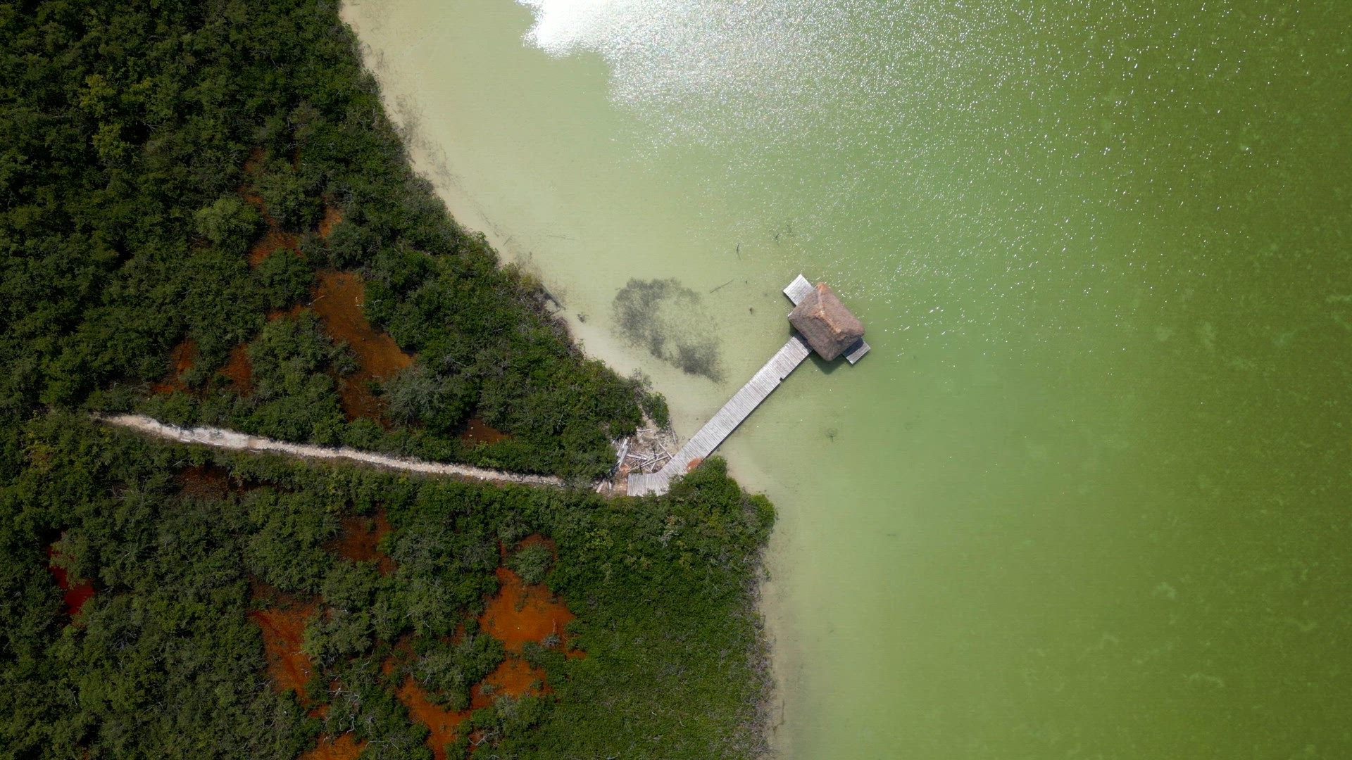 The Mangroves of Tulum National Park Aerial View
