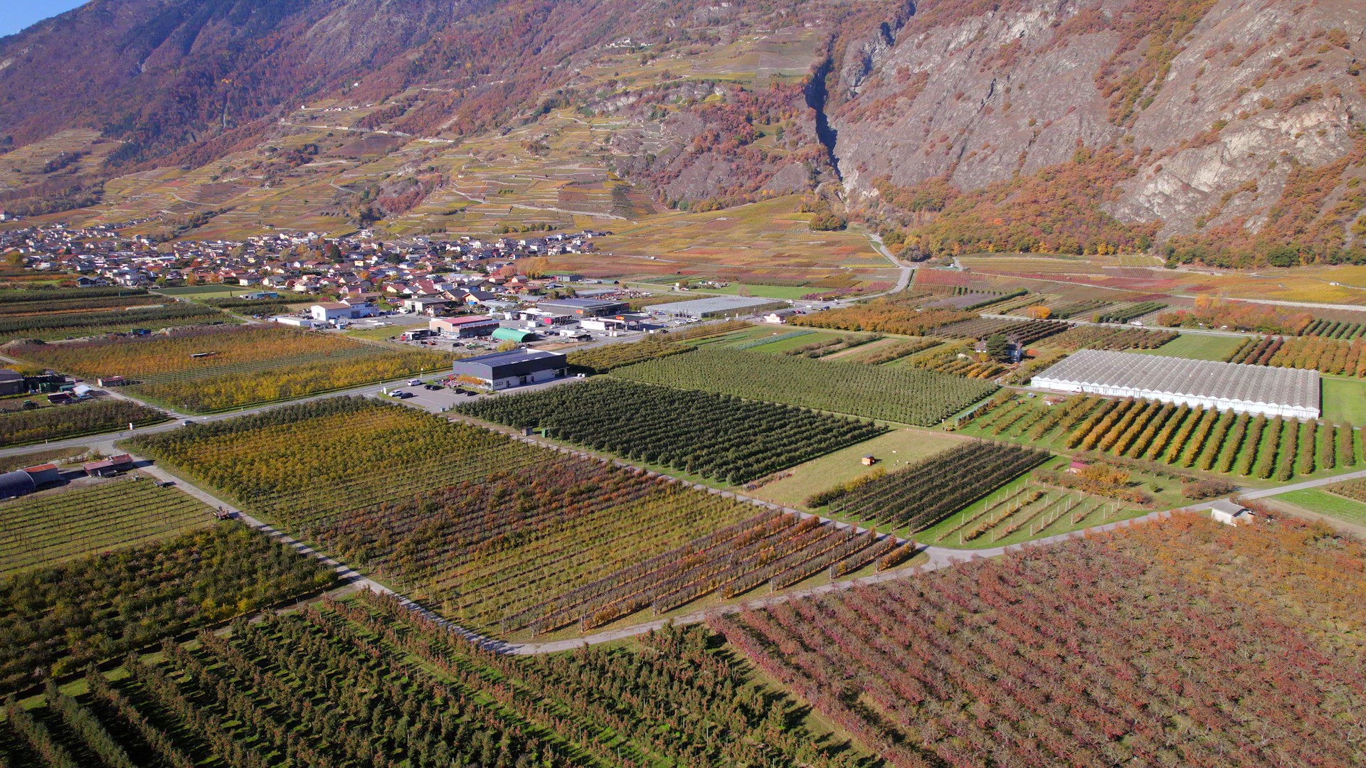 Valais Wine Region Switzerland's Largest Vineyard and Wine Production Area