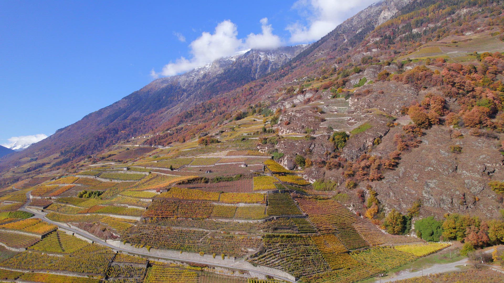 The Valais Wine Region in Switzerland Aerial View