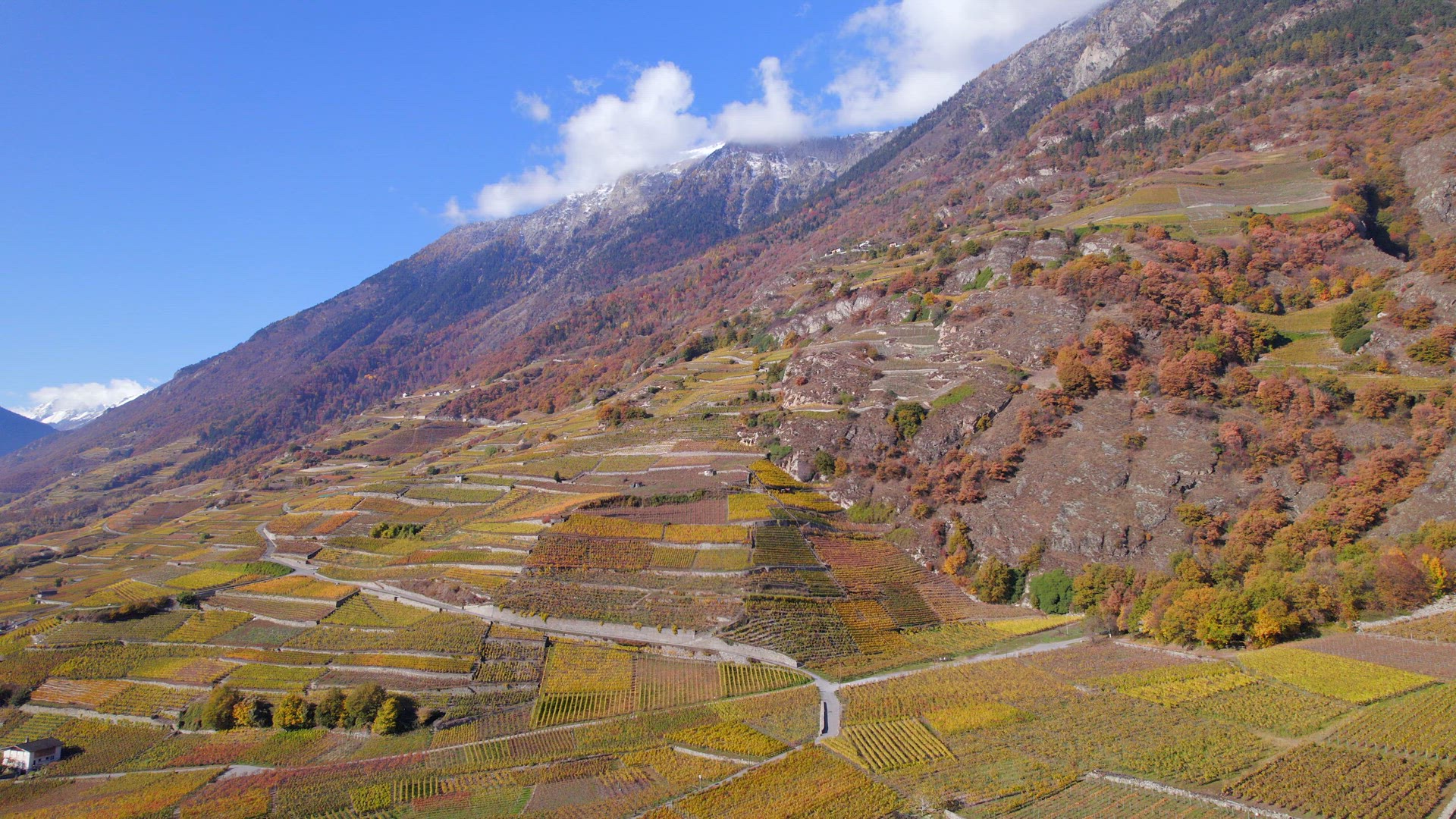 Valais Wine Region Switzerland's Largest Vineyard and Wine Production Area