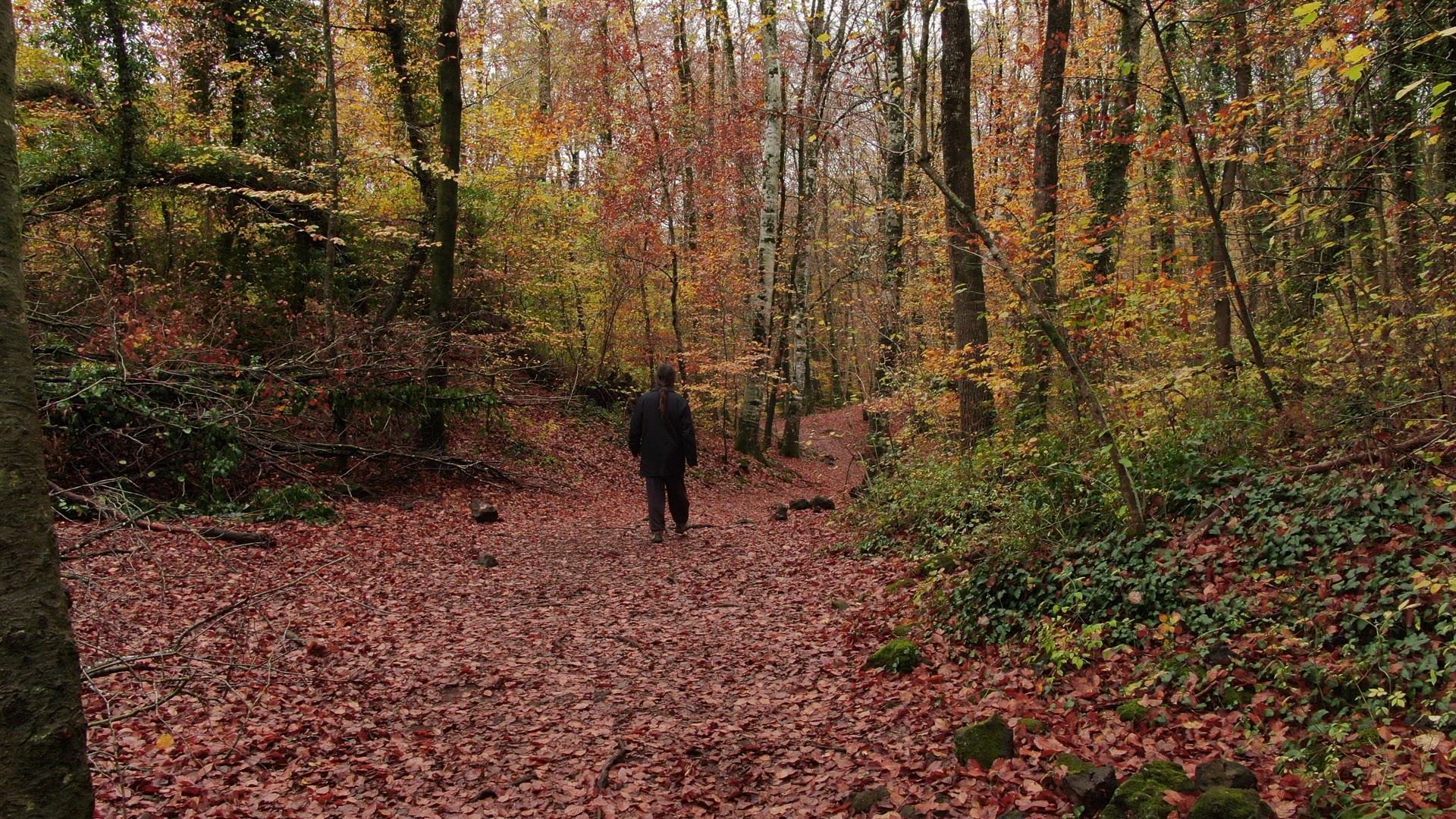 Fageda 12 ProRes HQ29 4k.mov