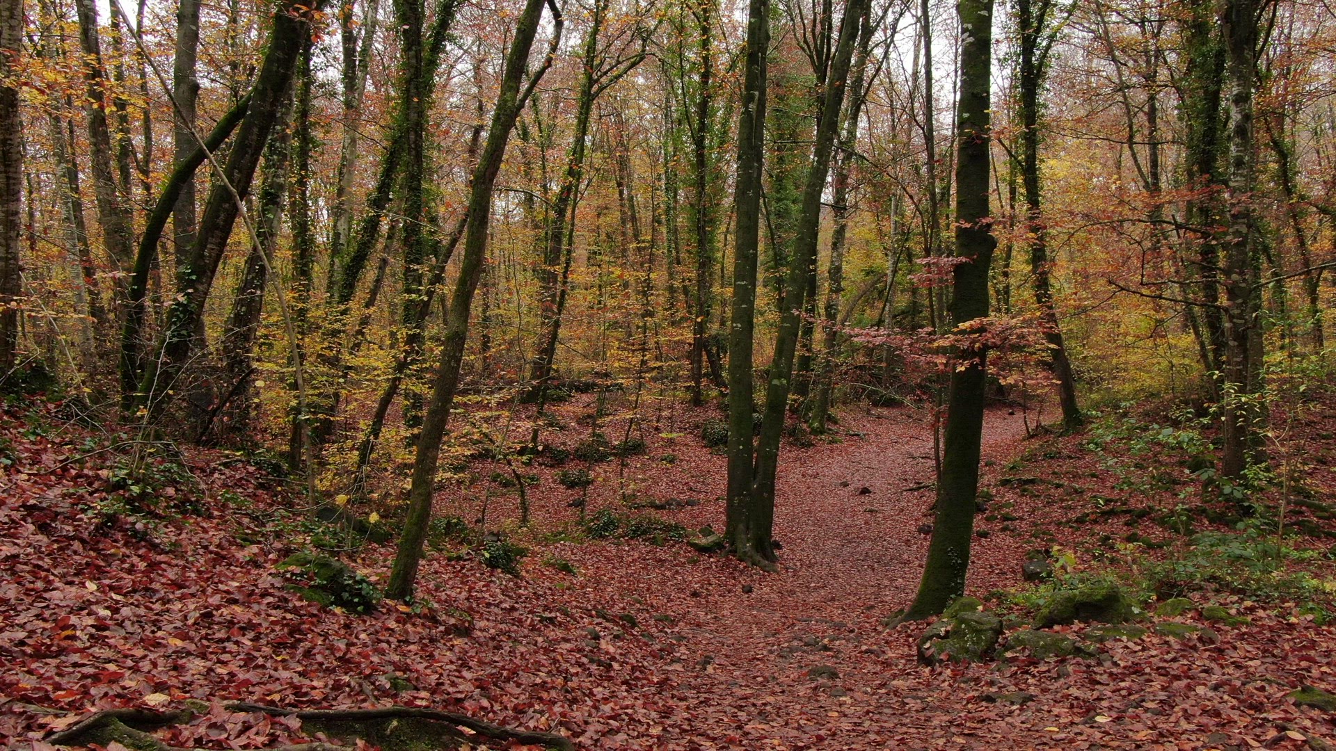 Fageda 10 ProRes HQ29 4k.mov