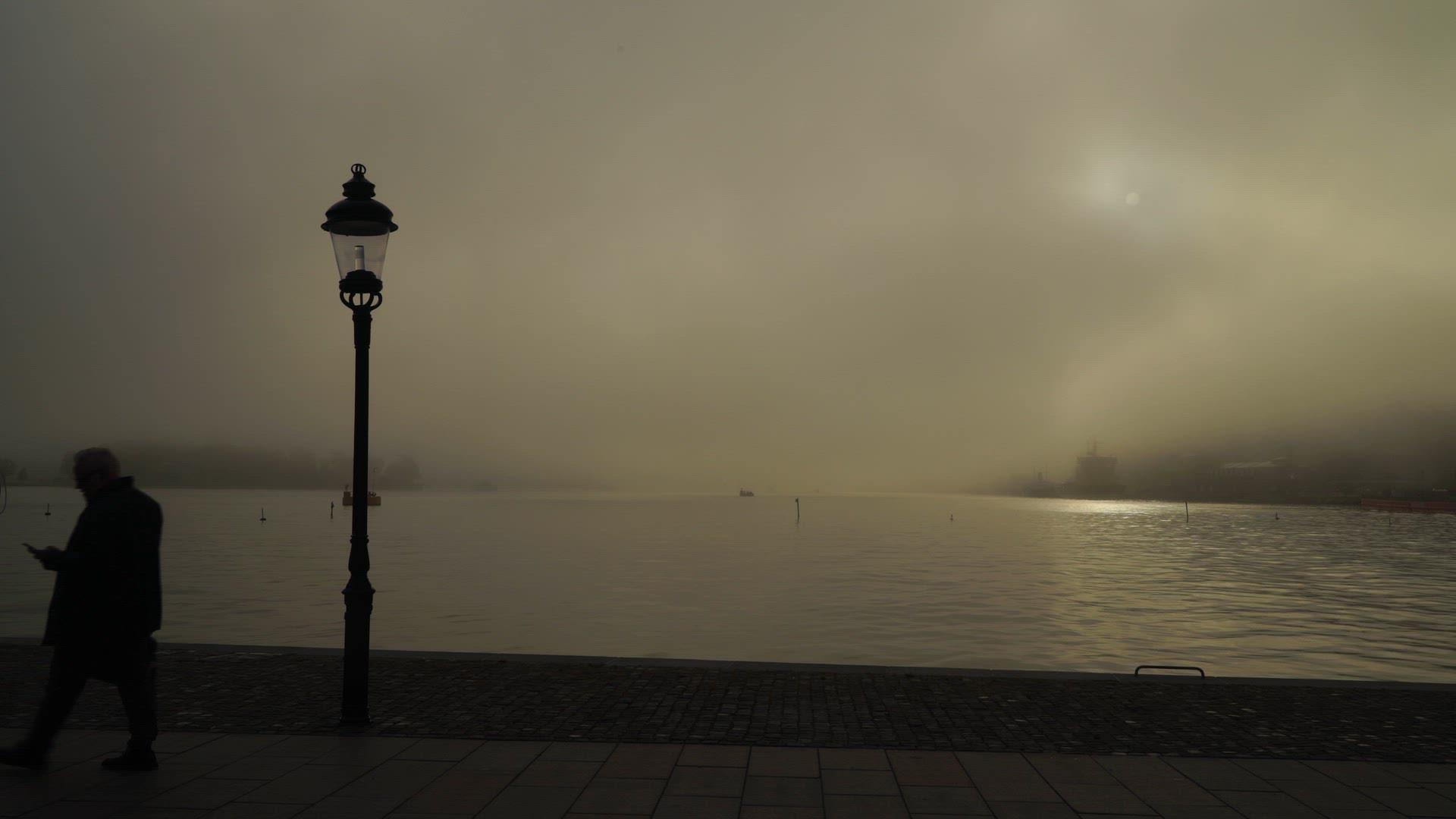 foggy morning on Skeppsbron - woman with mobile phone.mp4