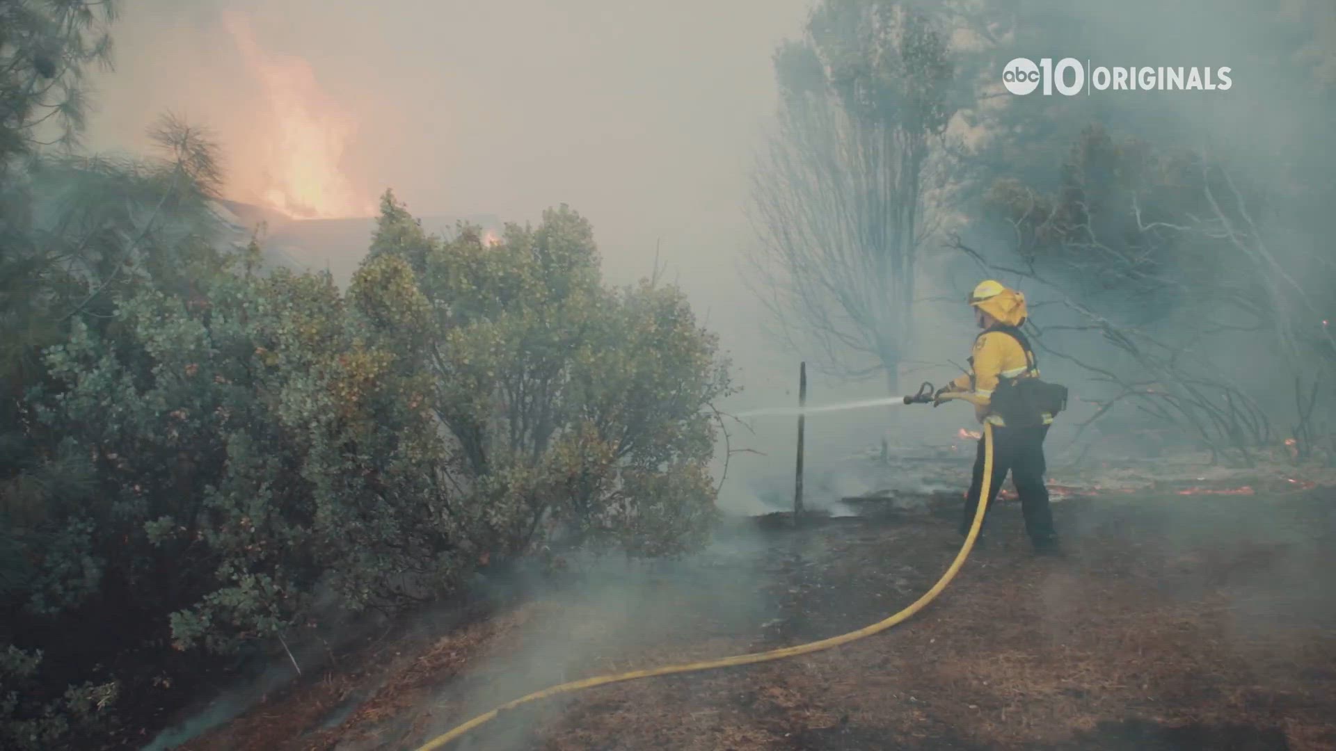 Escaping Paradise California Wildfires The New Normal