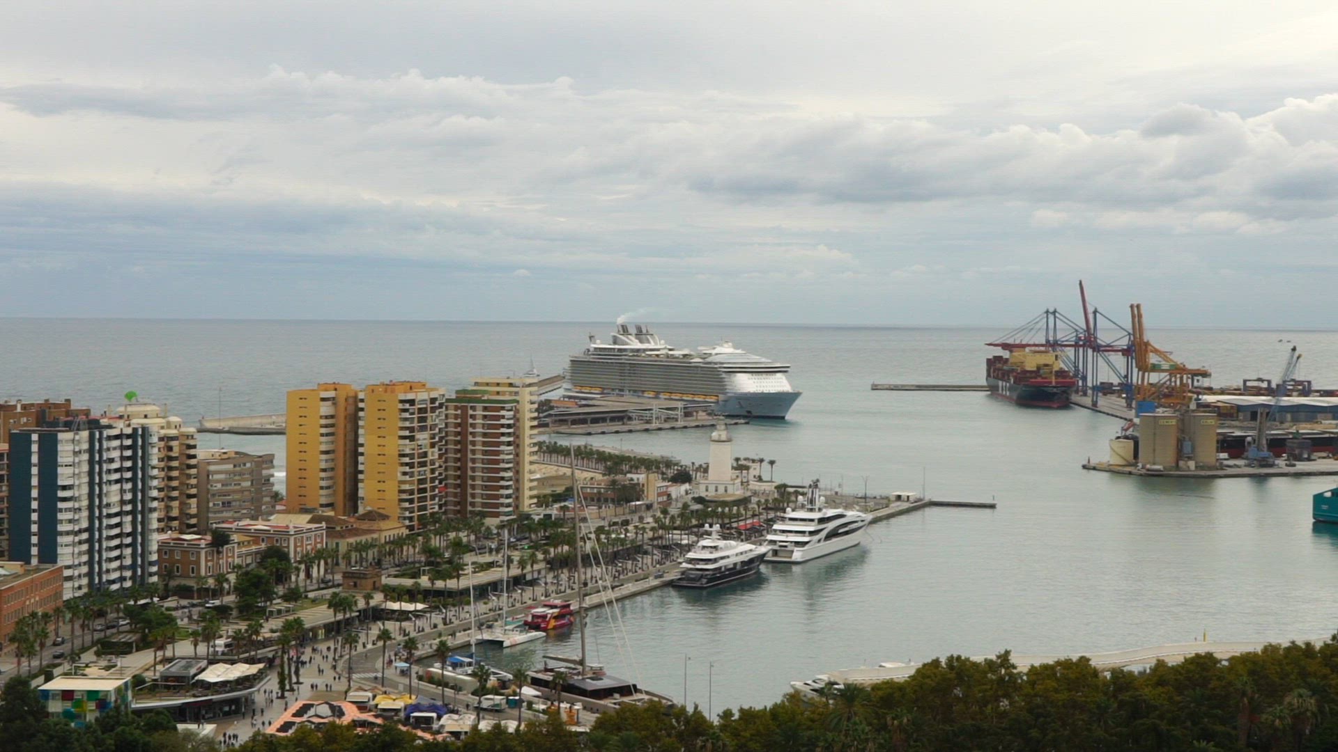 view harbour Malaga - seagull - slow motion.mp4