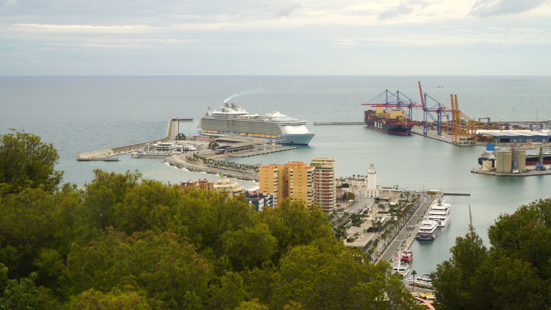 overview horbour Malaga - slow motion trees.mp4