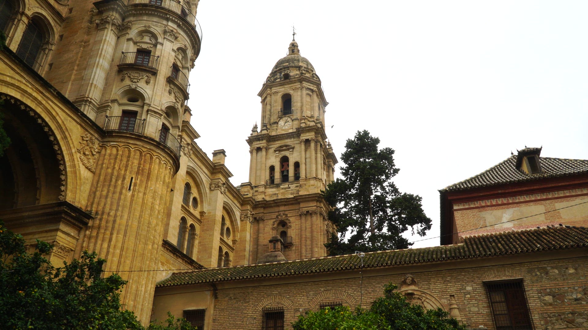 Cathedral de Malaga - exterior - wind in trees.mp4