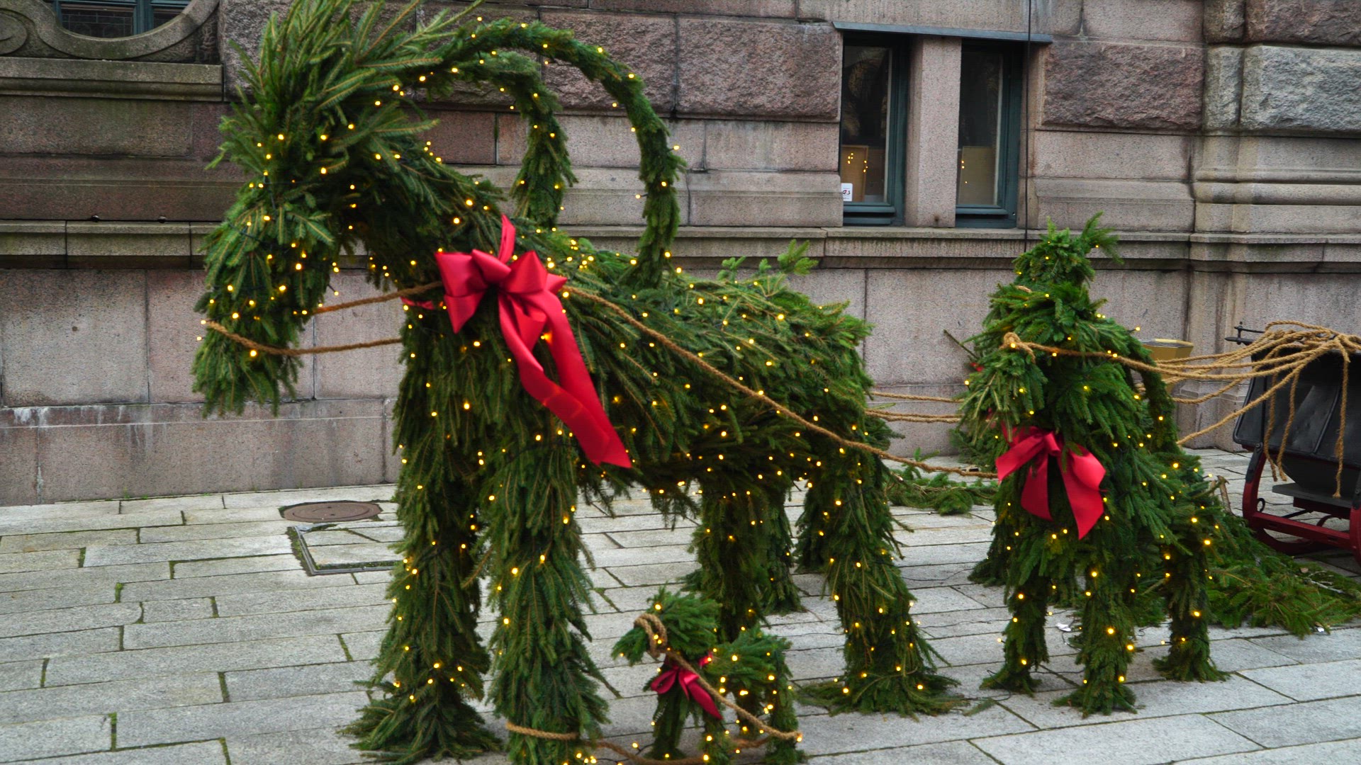 Christmas decorated - goat family.mp4