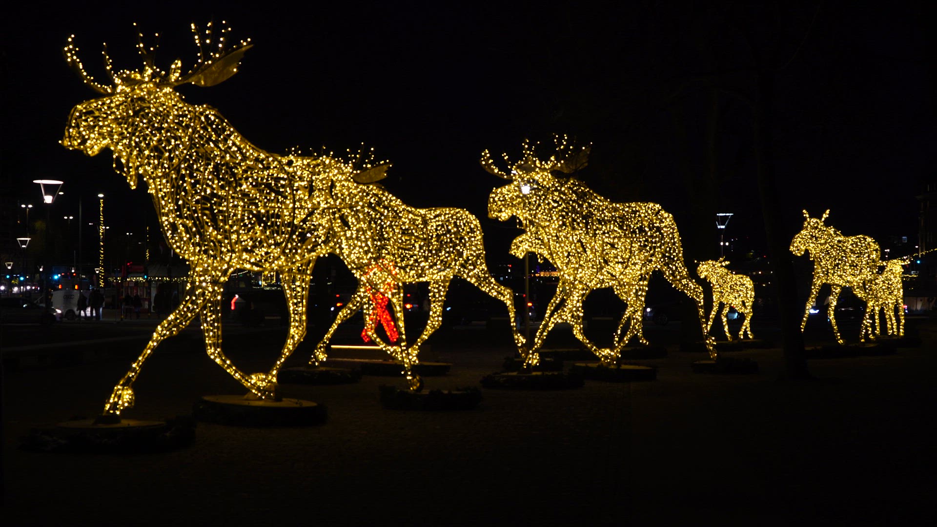 Elks - christmas decoration - 1.MP4