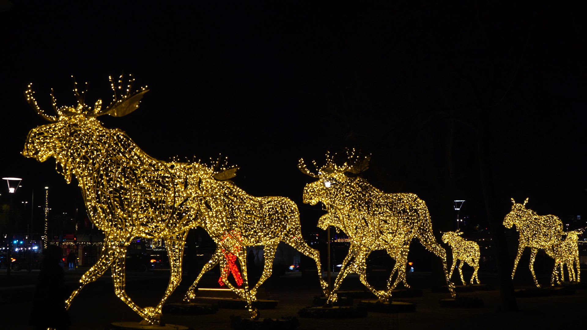 Elks - Christmas decoration.MP4