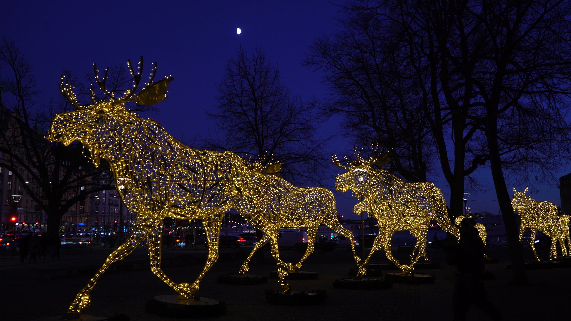 Christmas decoration - illuminated elk family.MP4