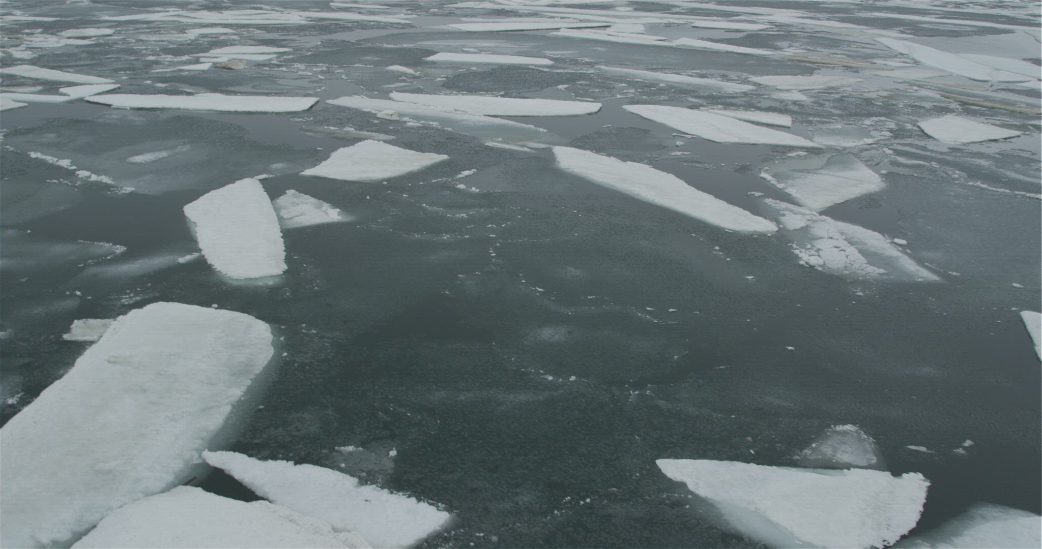 Inuit Hunter on Ice