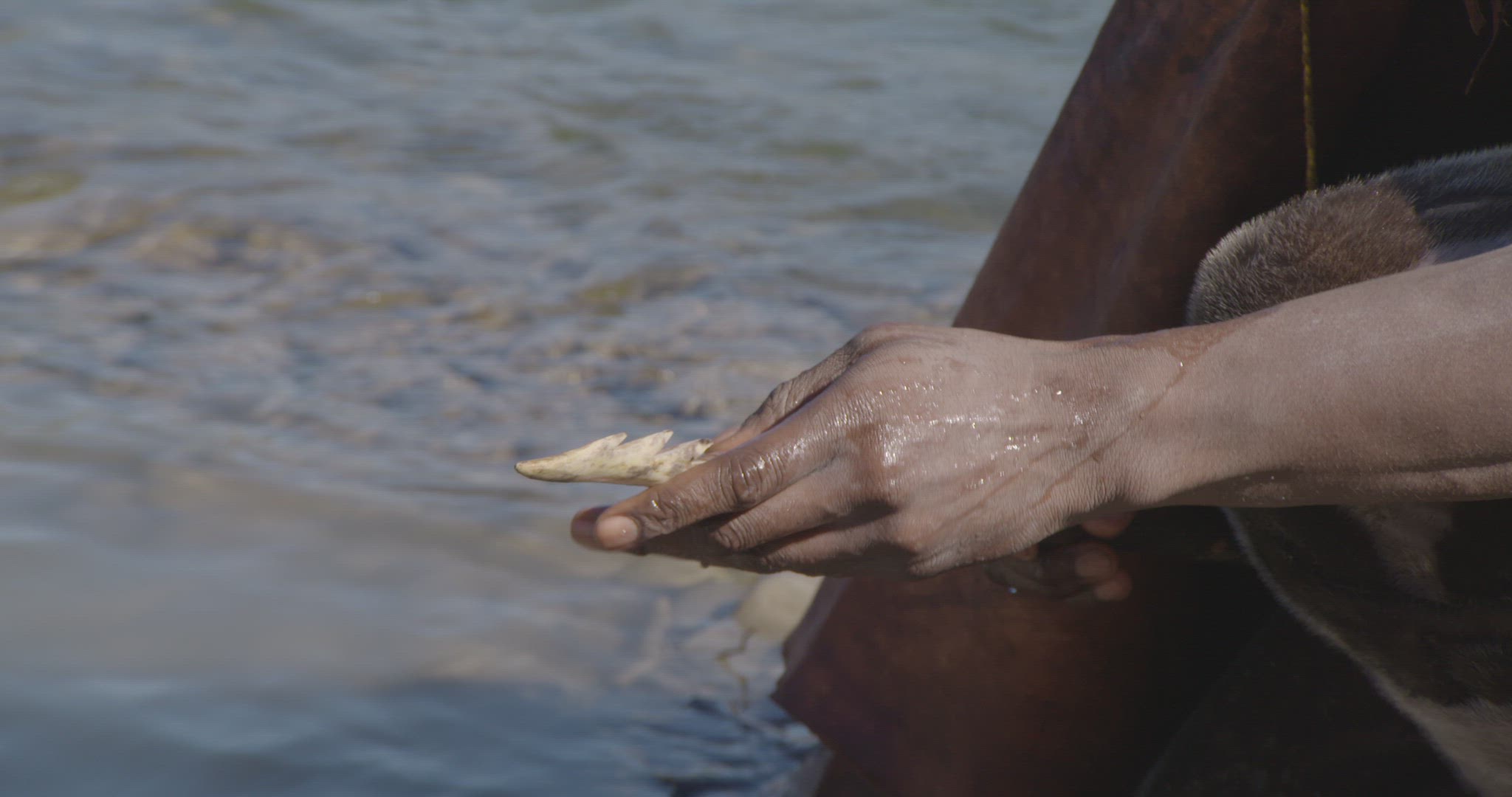 early human cleaning spear