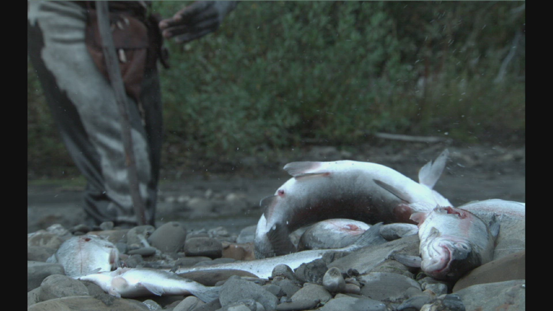 early human spear fishing