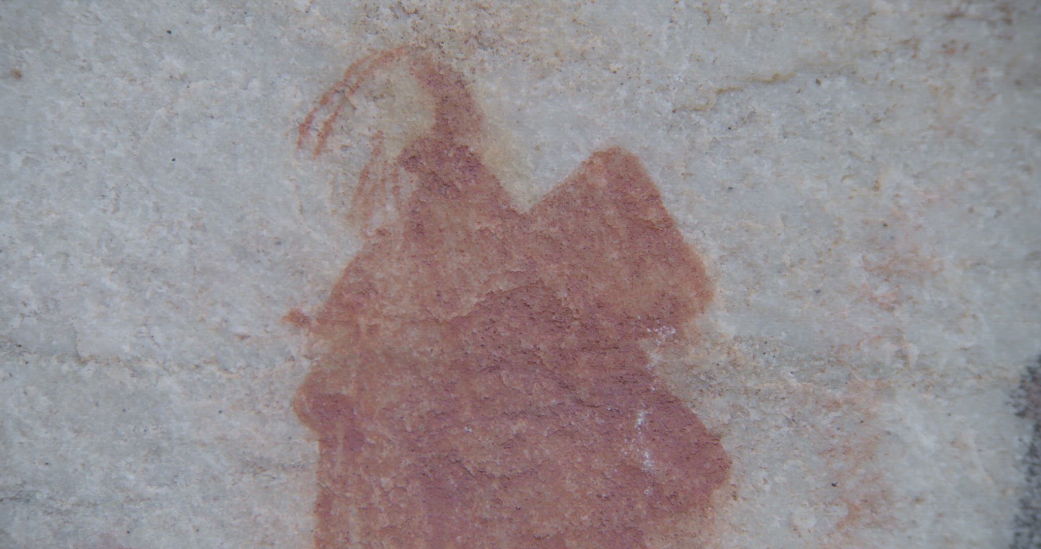 detailed shot of cave drawings