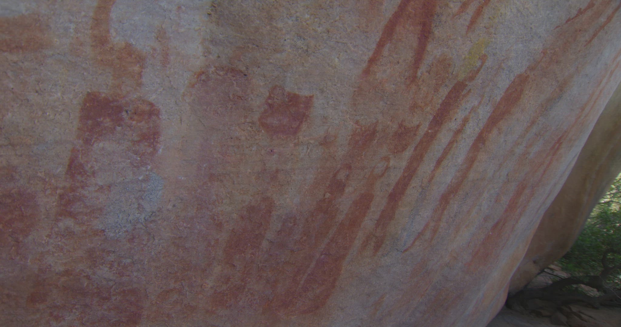 detailed shot of cave drawings