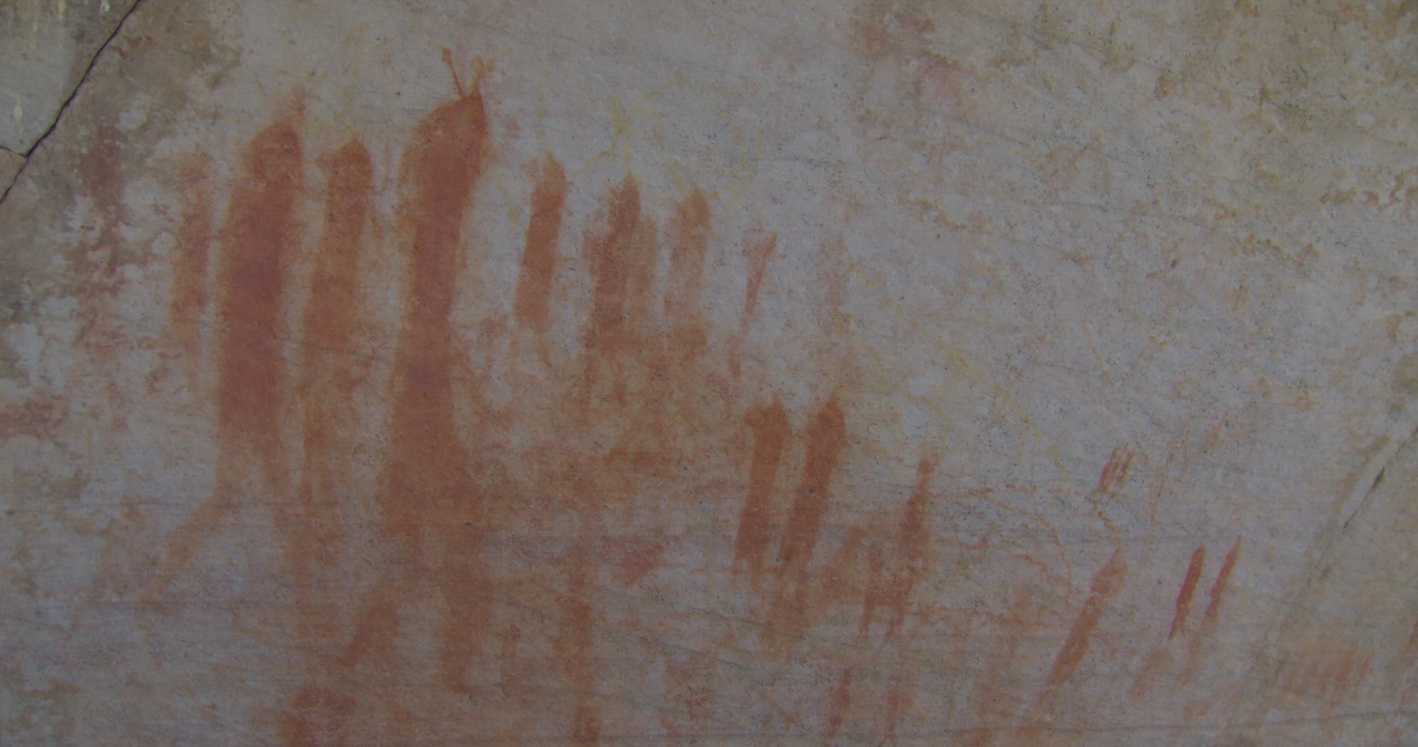detailed shot of cave drawings
