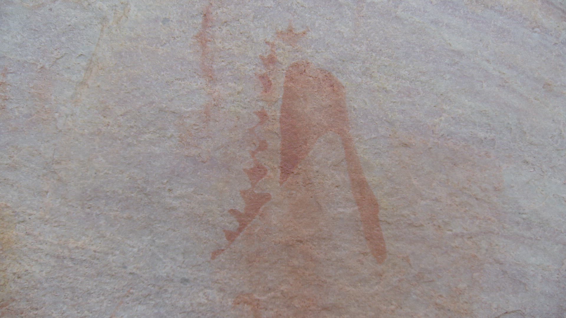 detailed shot of cave drawings
