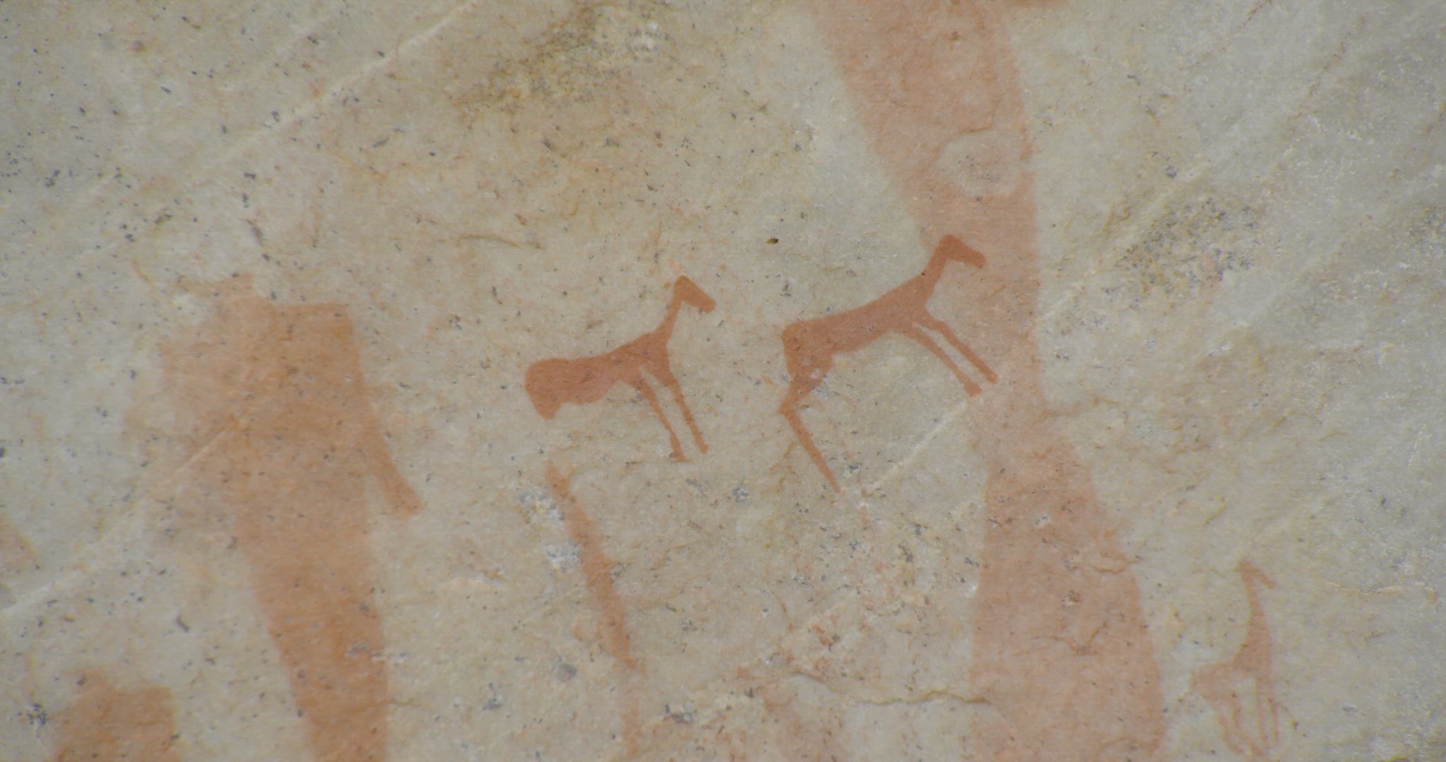 detailed shot of cave drawings