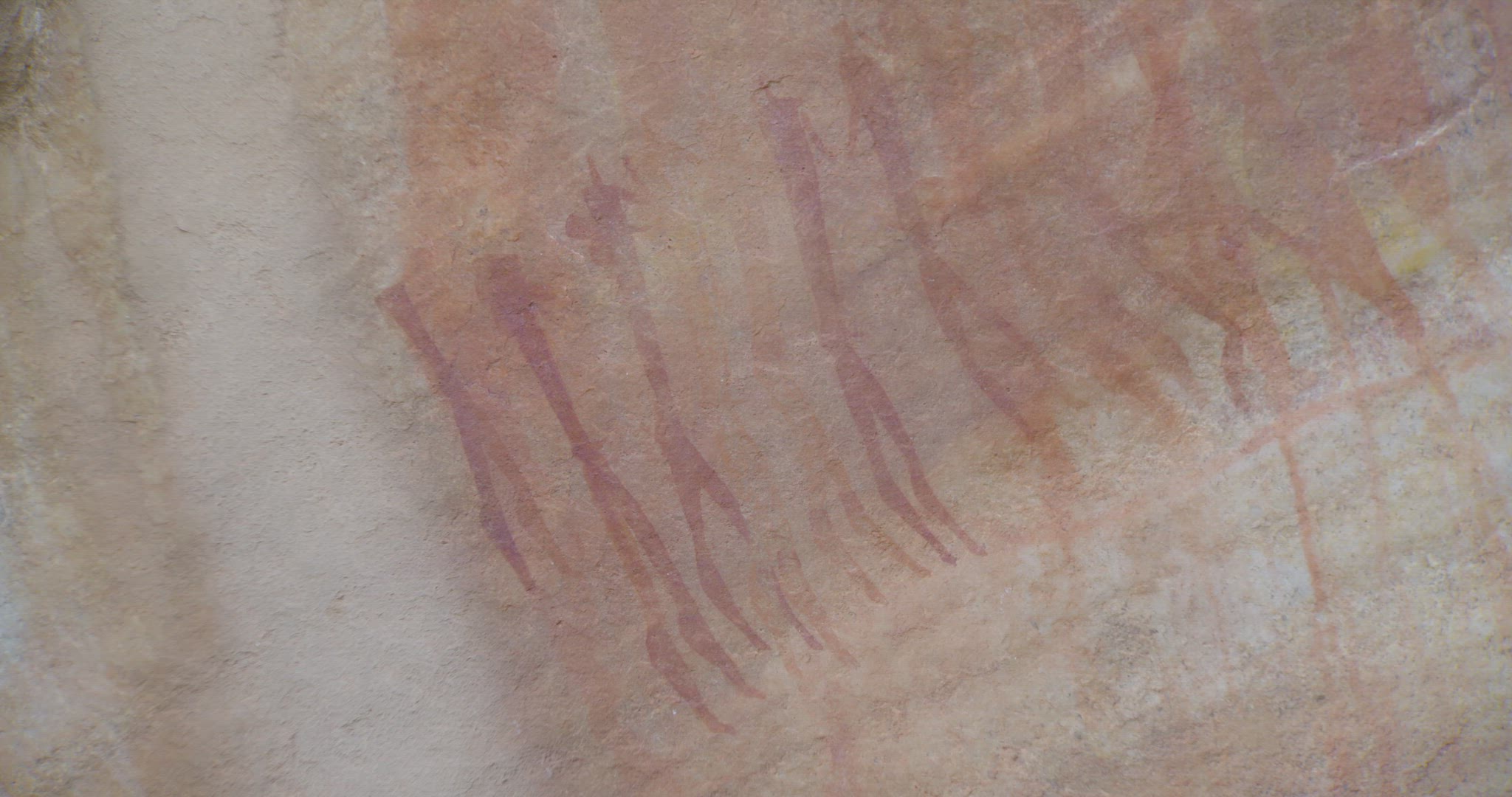 detailed shot of cave drawings