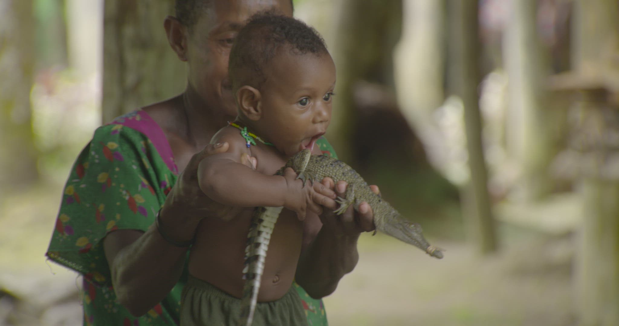 baby playing with caiman