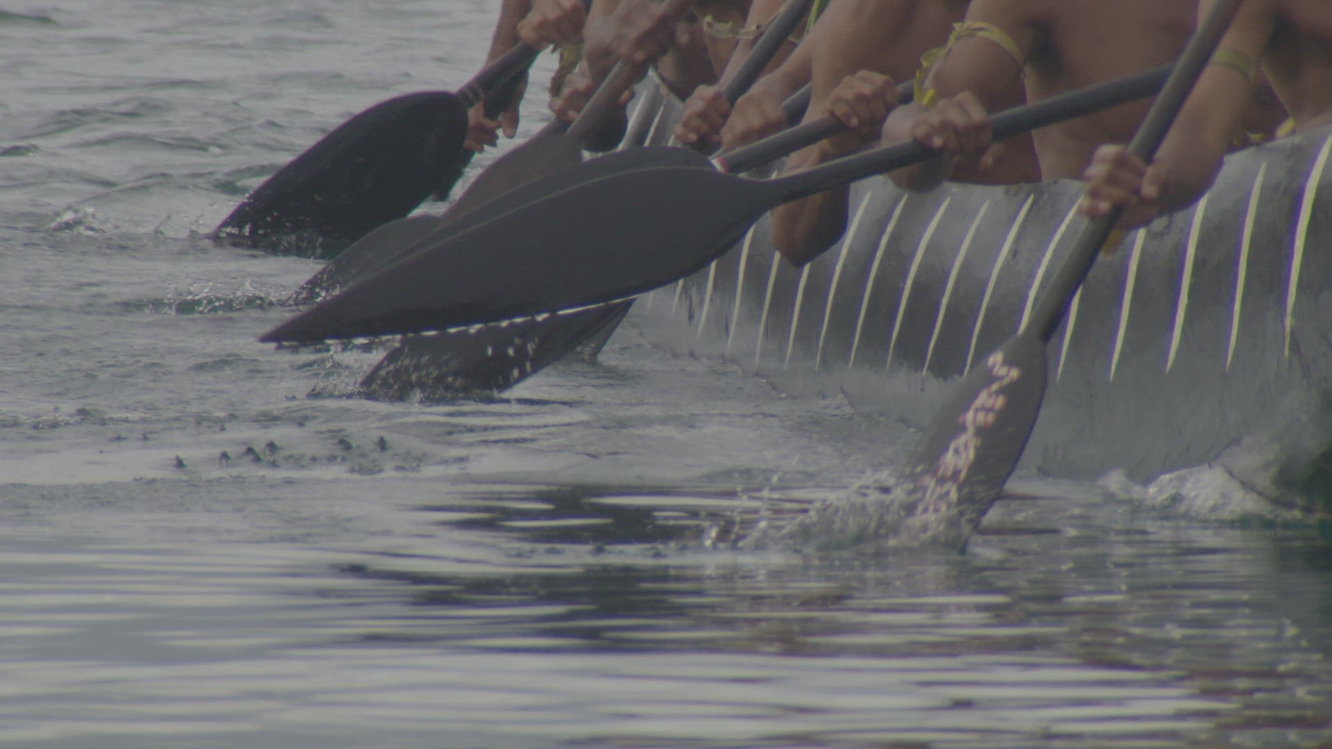 wooden paddles paddling wooden war canoe