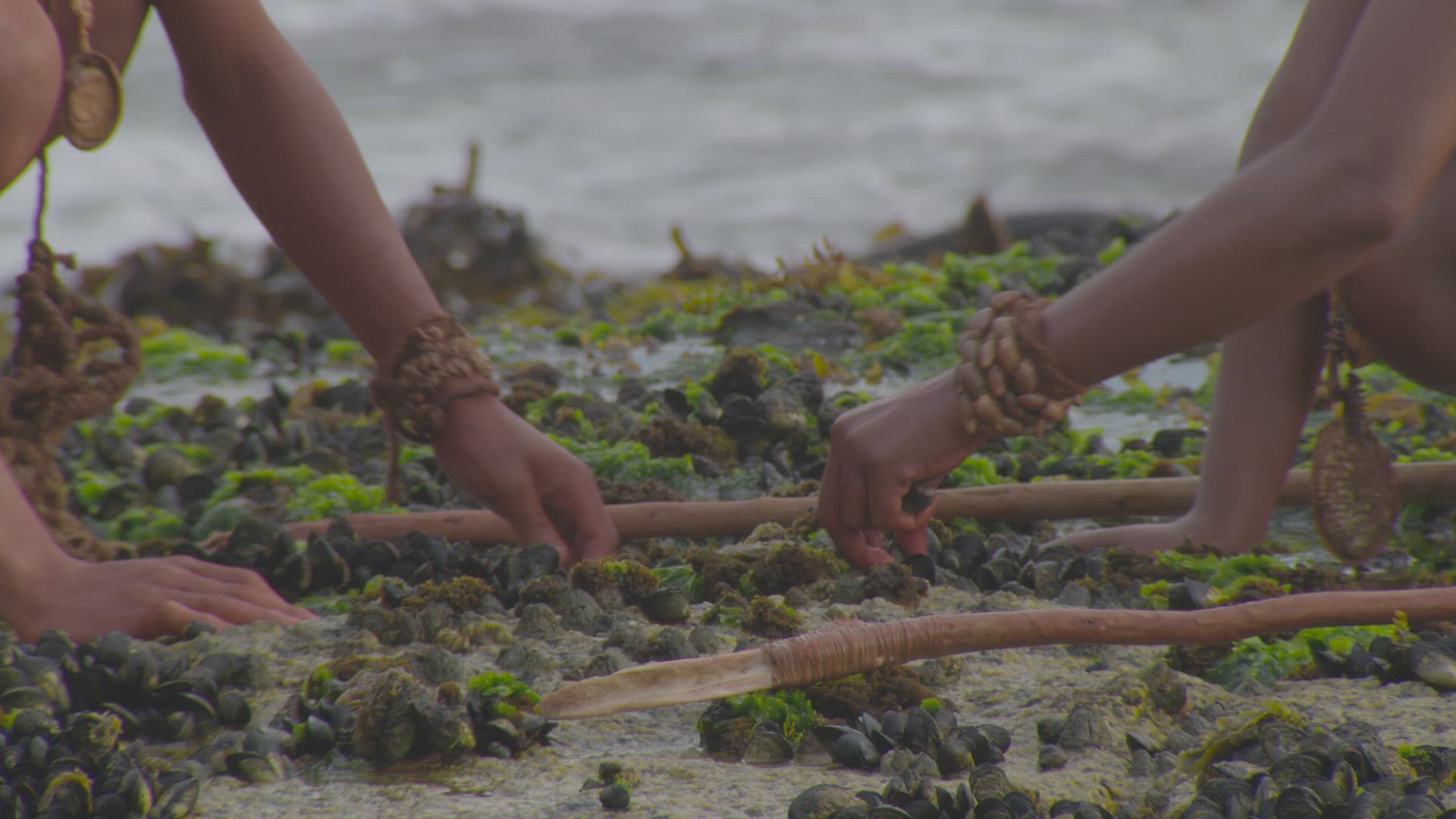 two early humans foraging for seafood